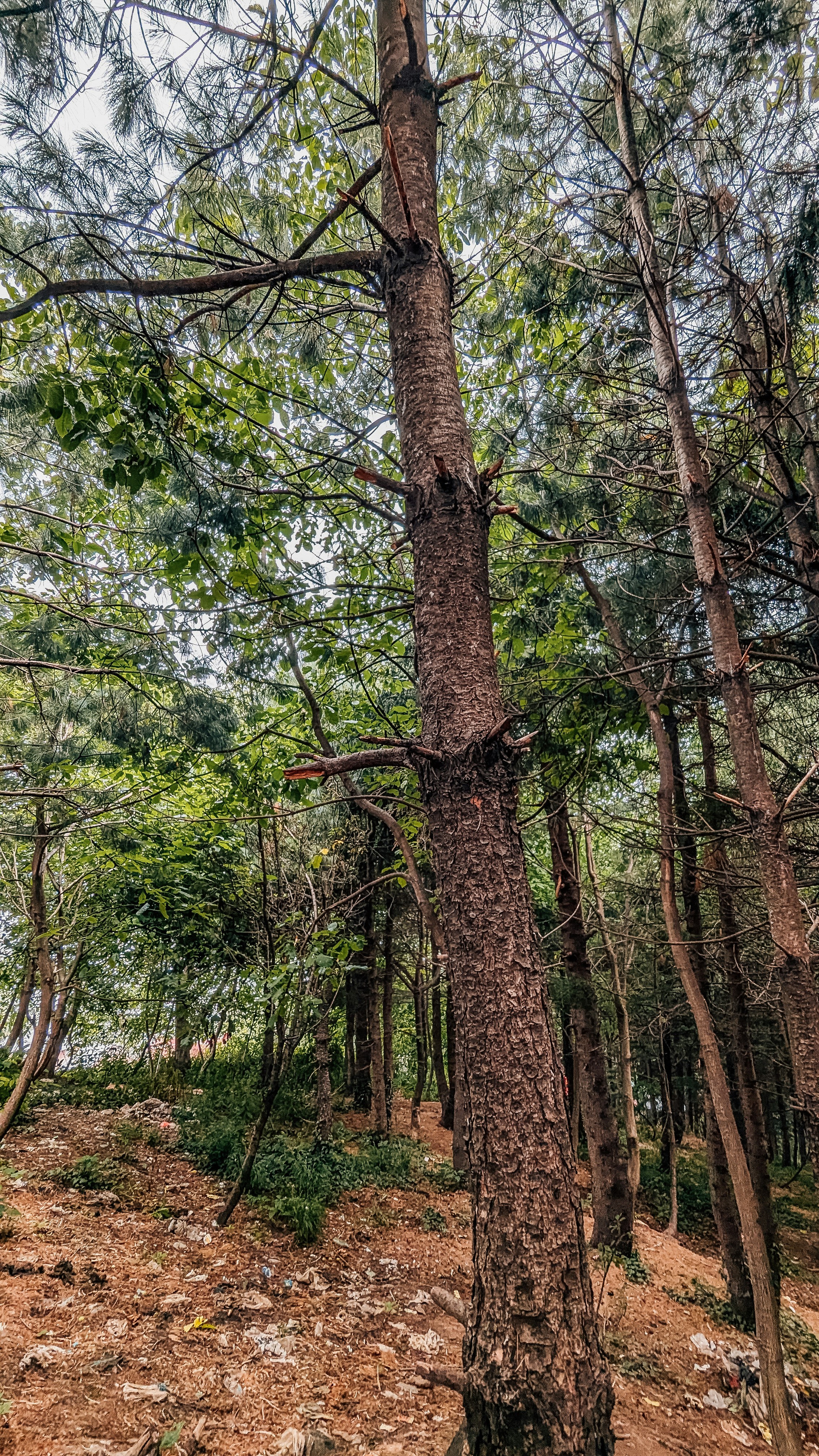 Photo by drphotographer152