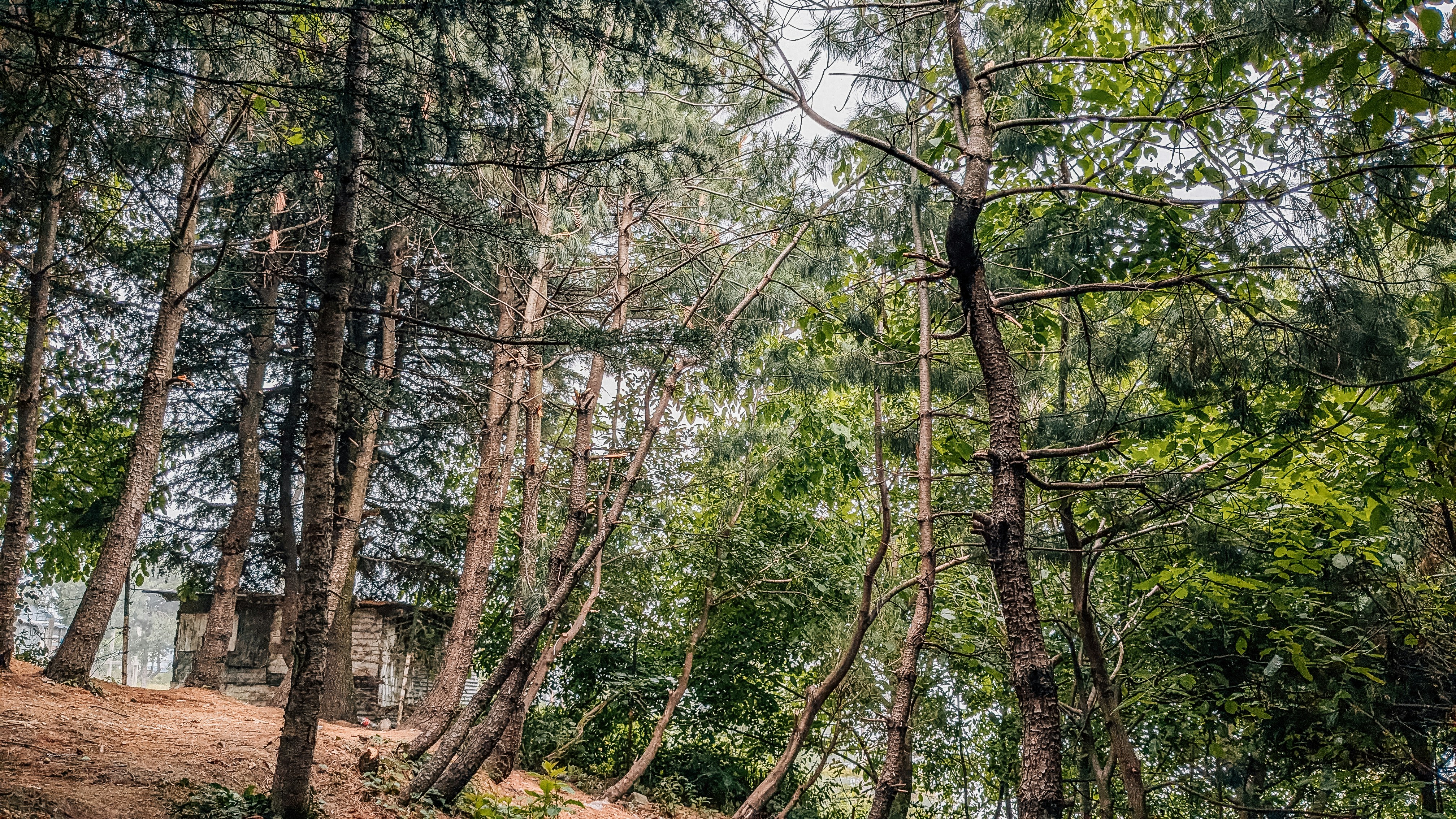 Photo by drphotographer152