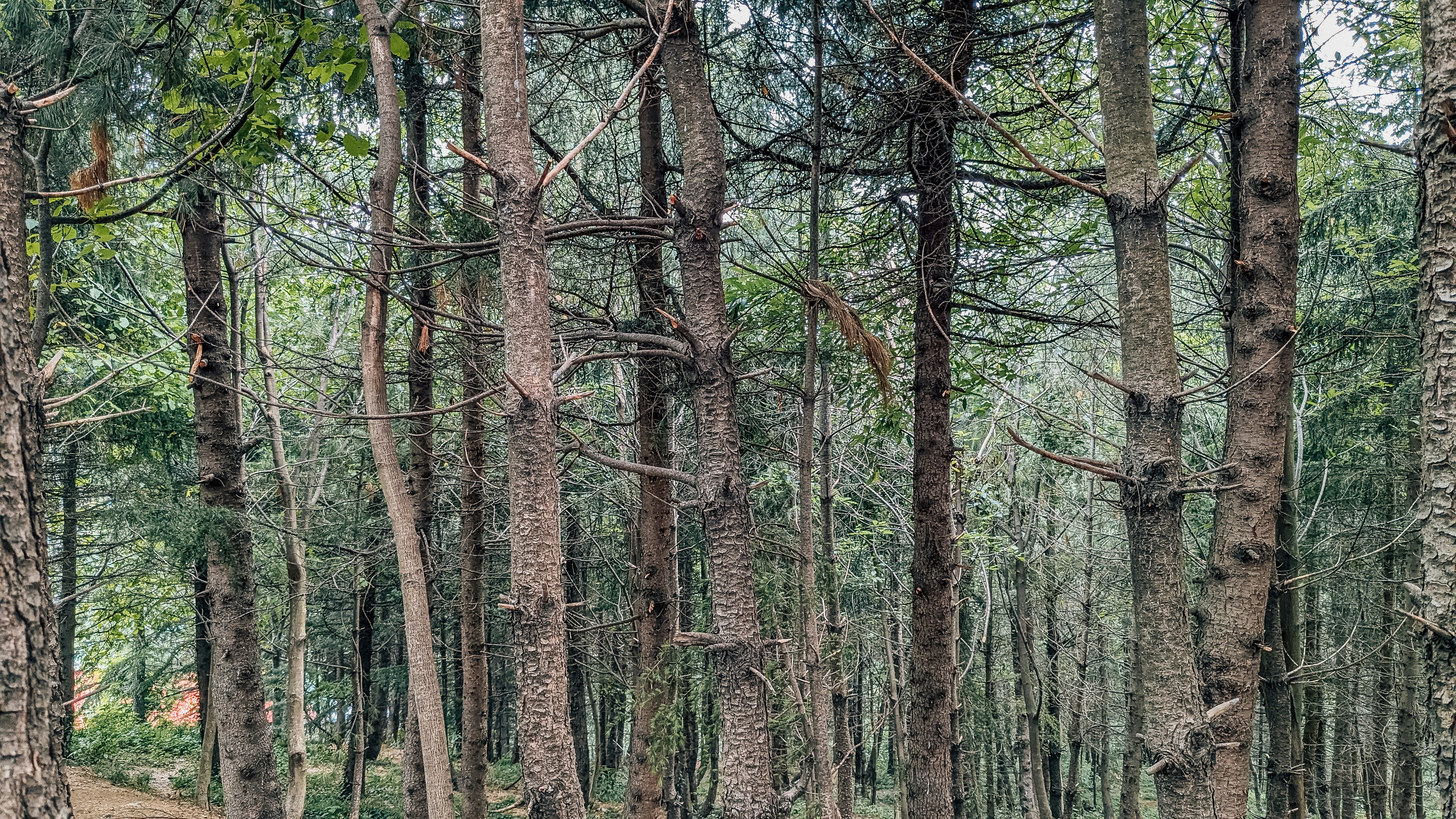 Photo by drphotographer152