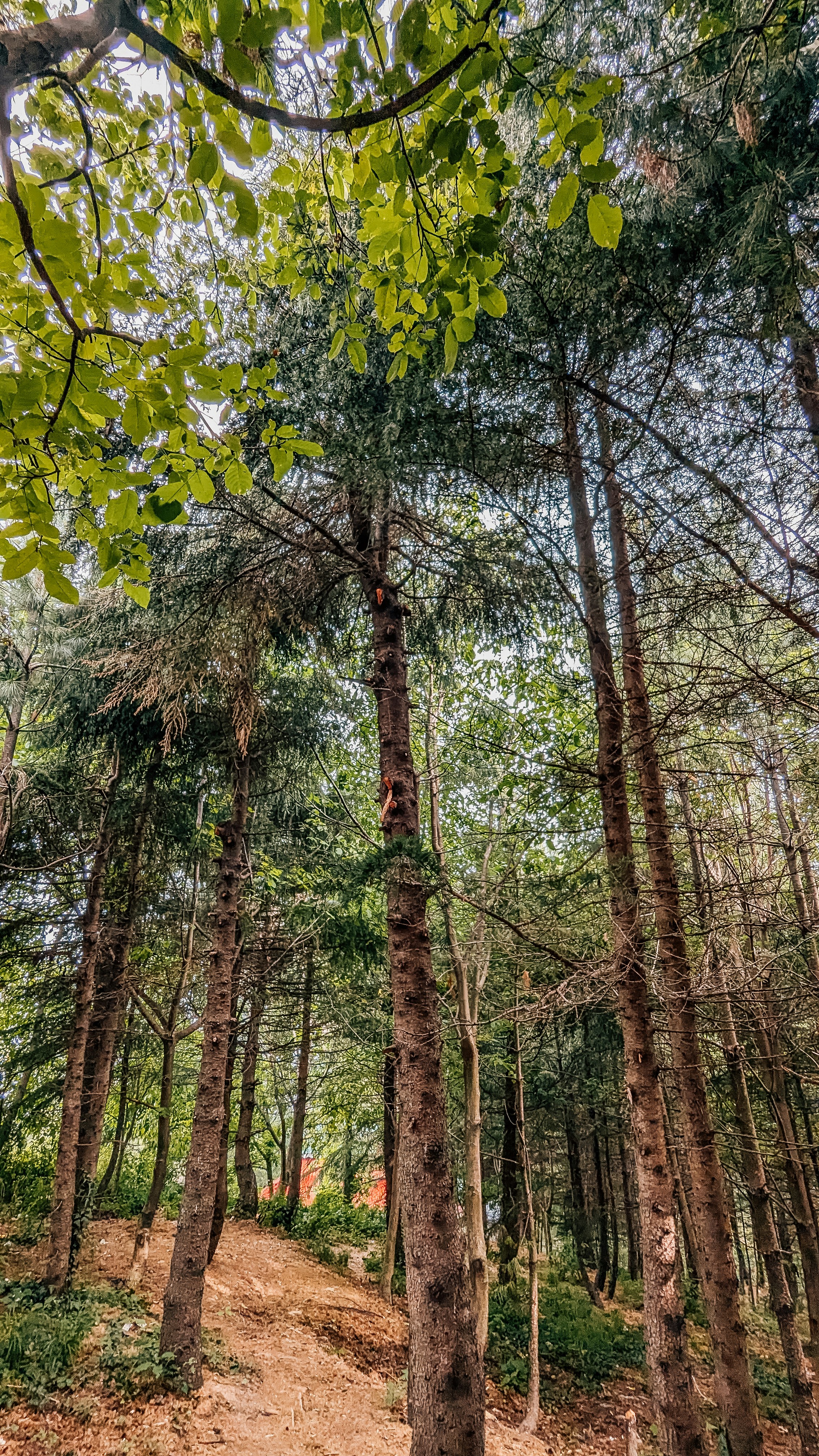 Photo by drphotographer152