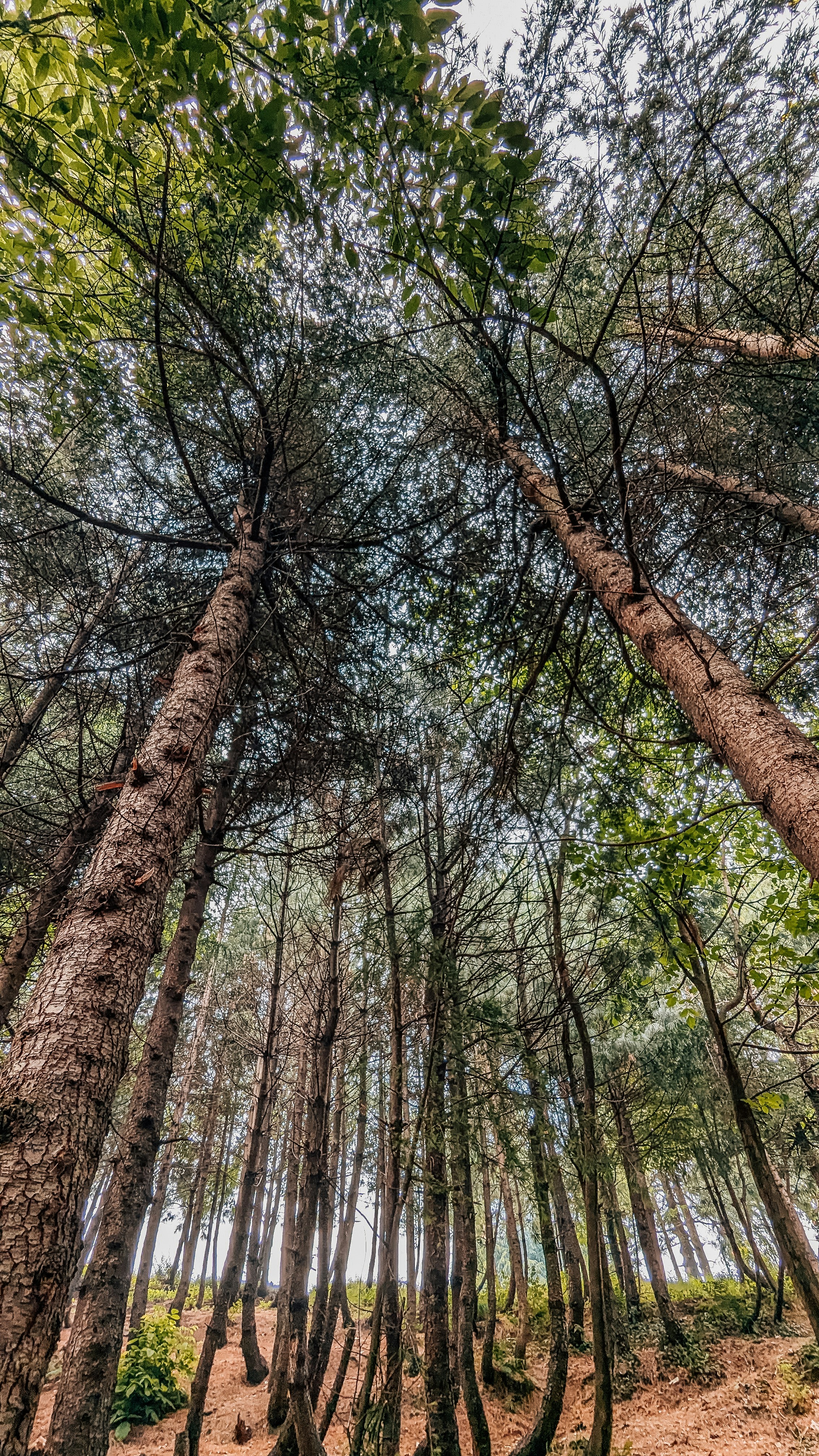 Photo by drphotographer152