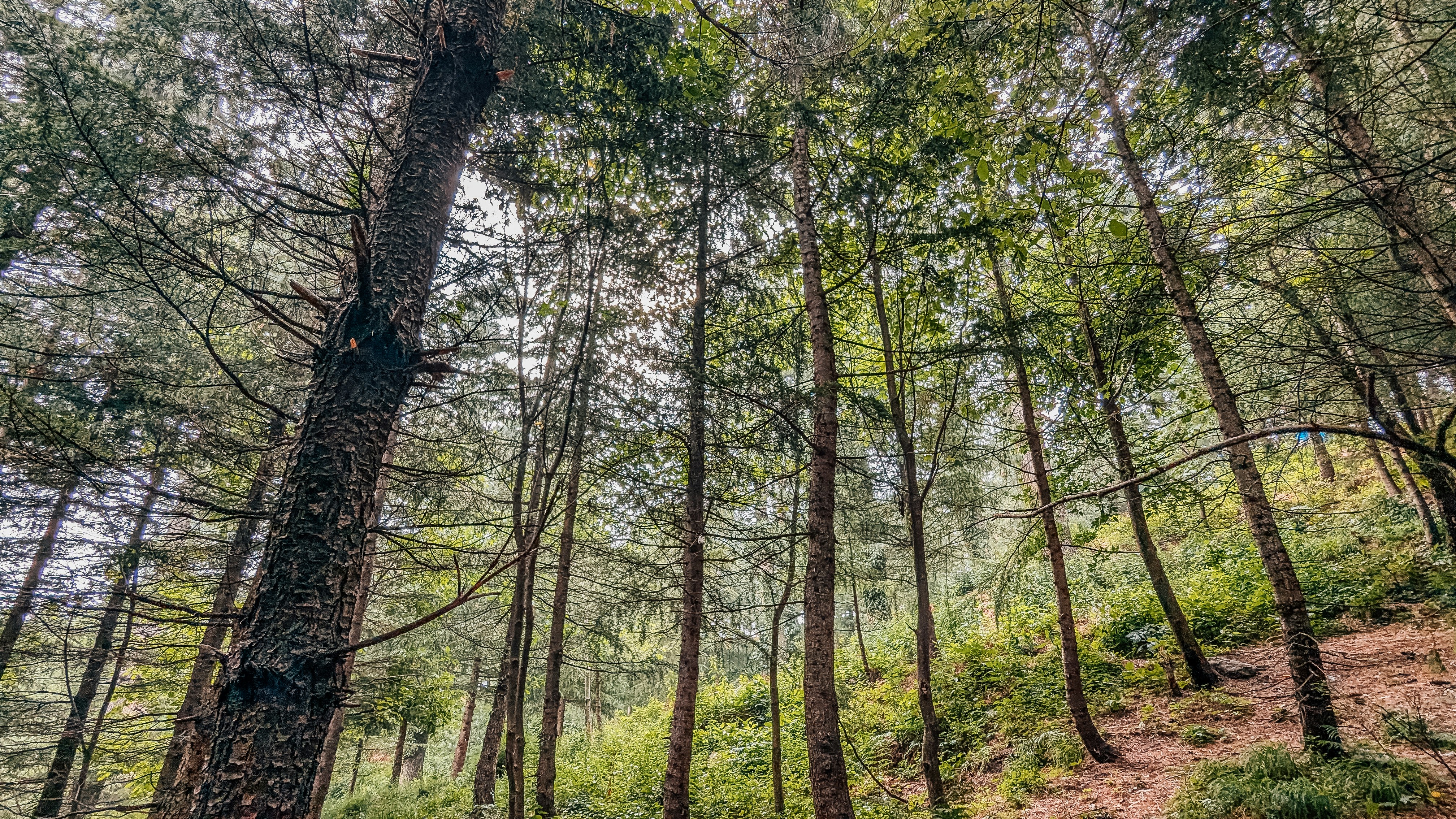 Photo by drphotographer152