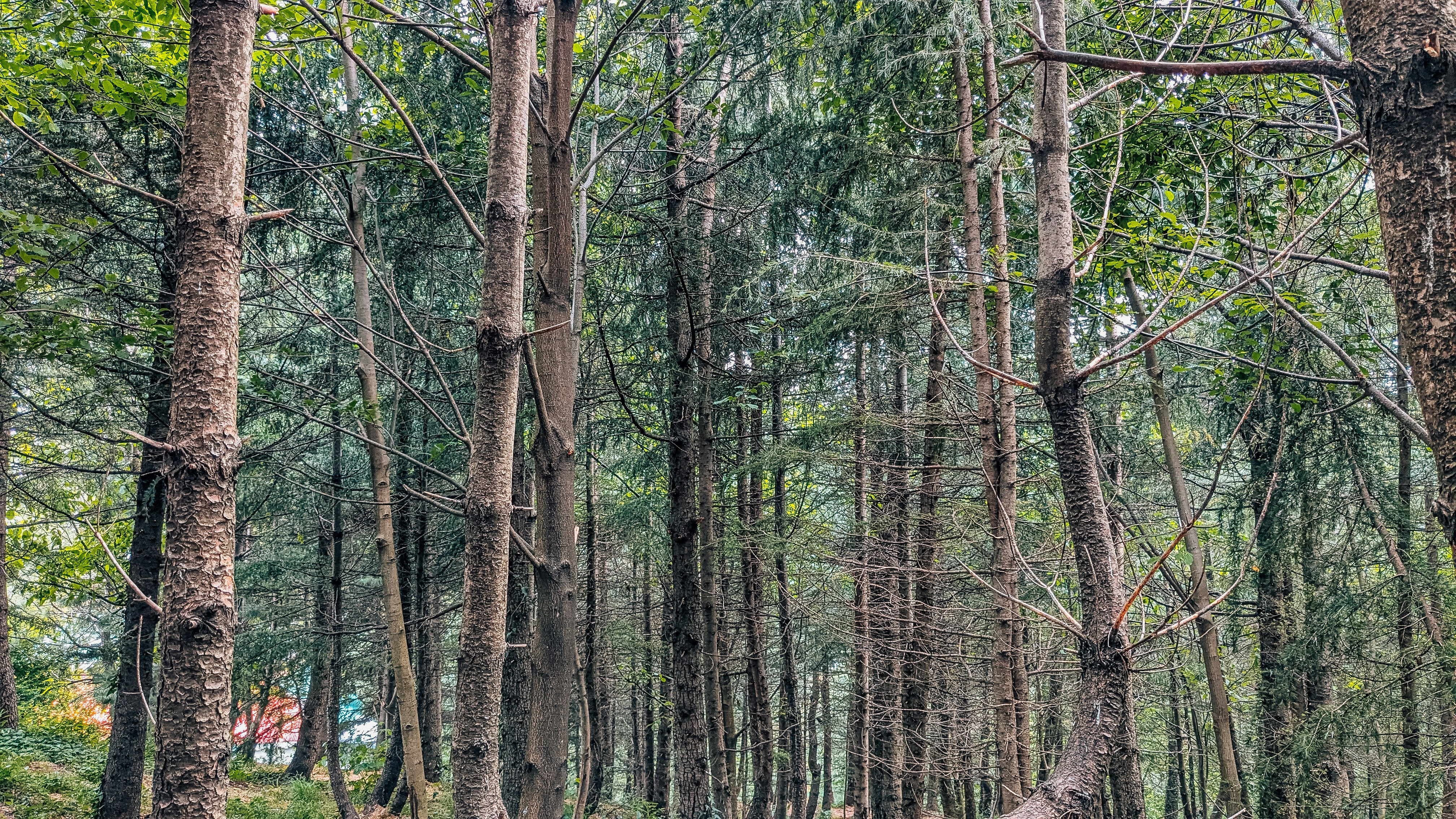 Photo by drphotographer152