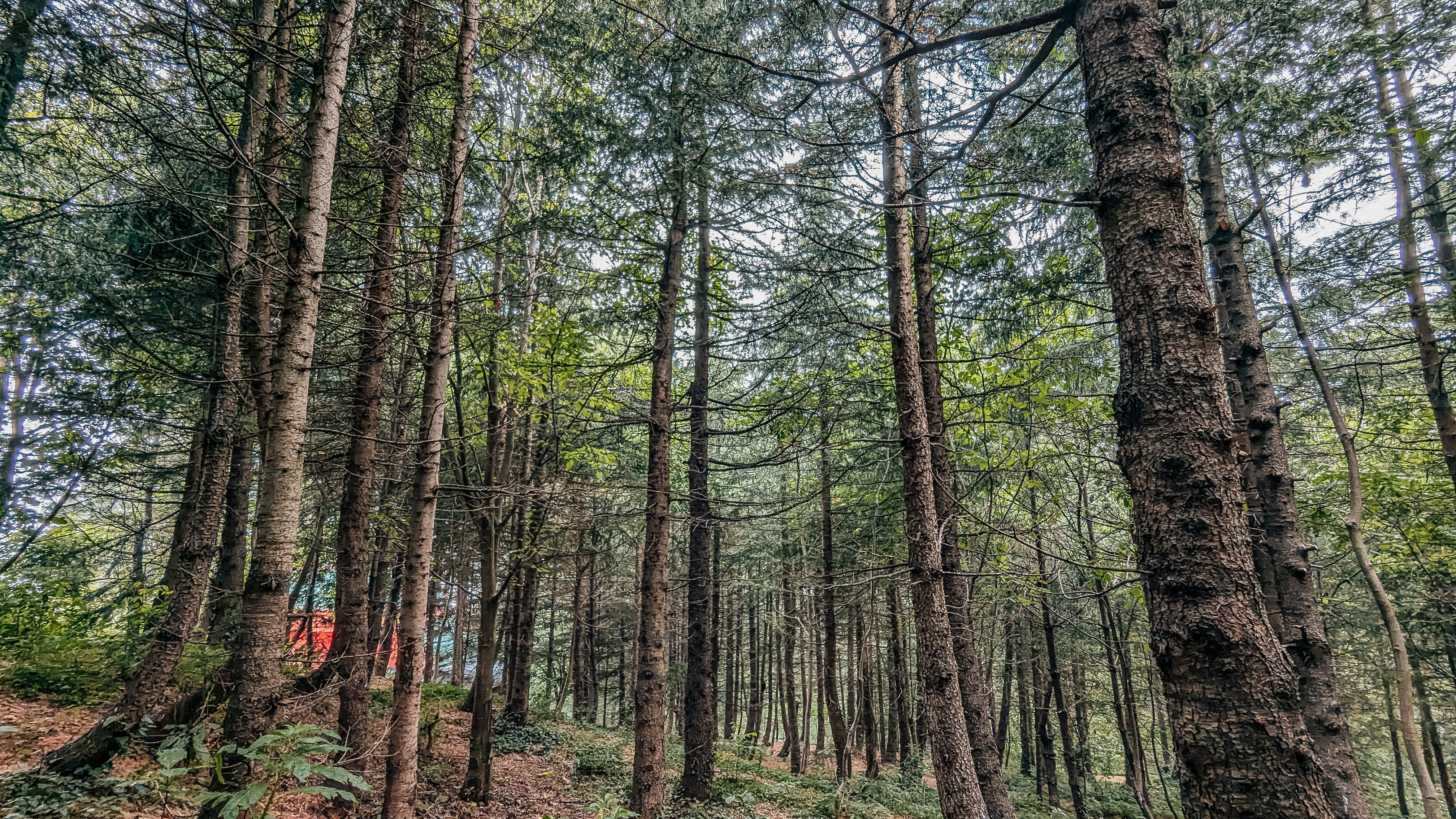 Photo by drphotographer152