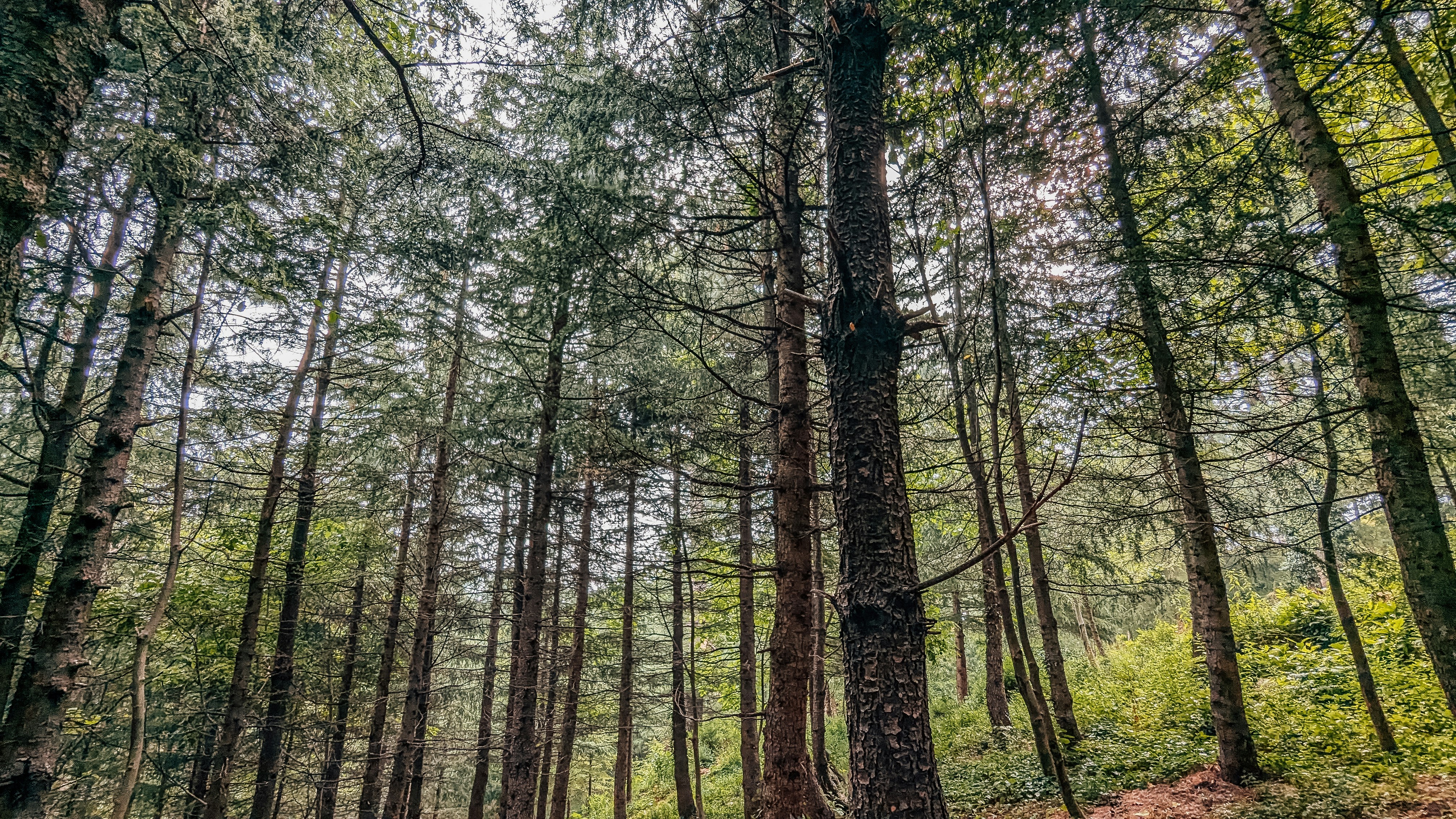 Photo by drphotographer152