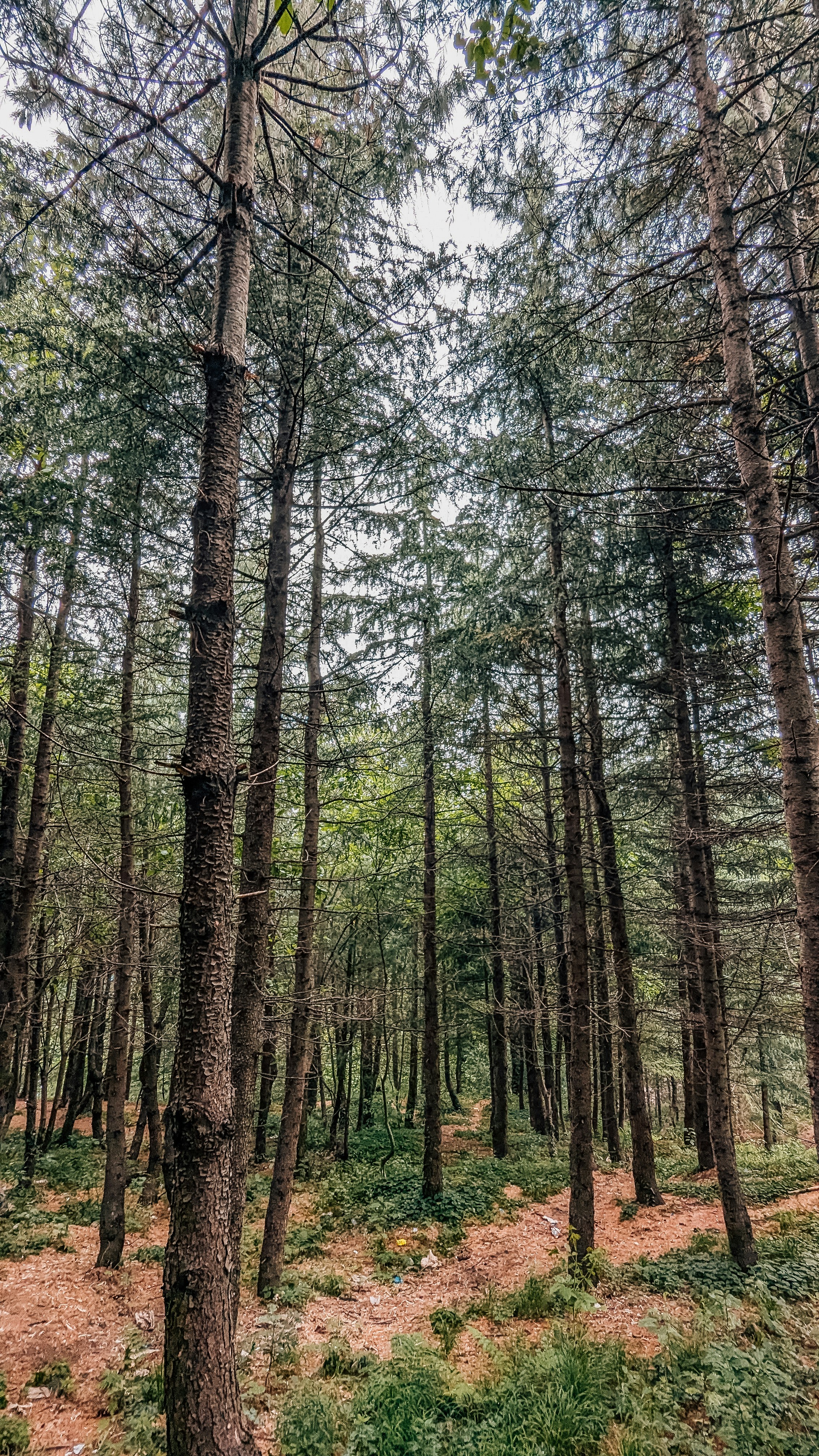 Photo by drphotographer152