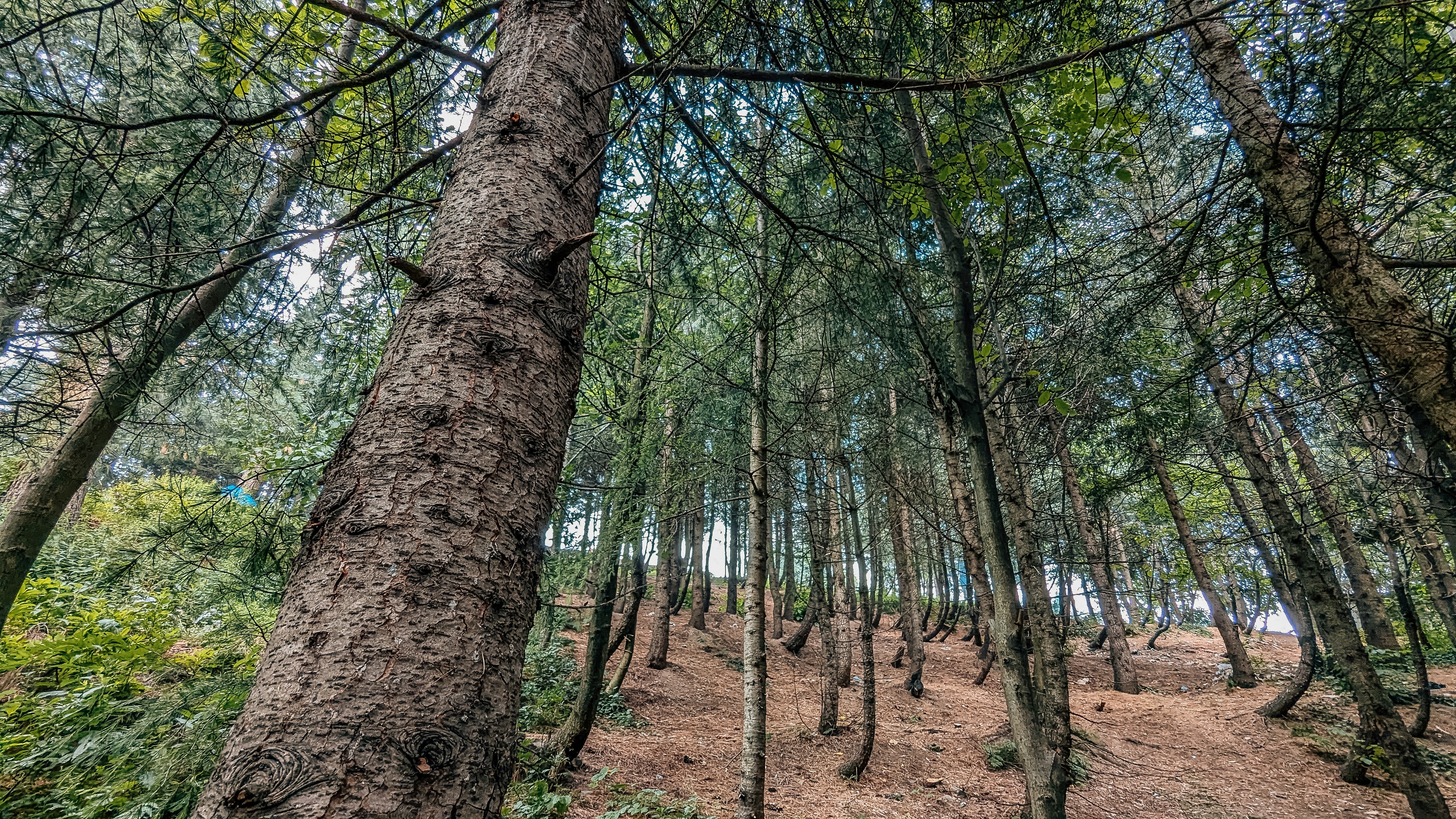 Photo by drphotographer152