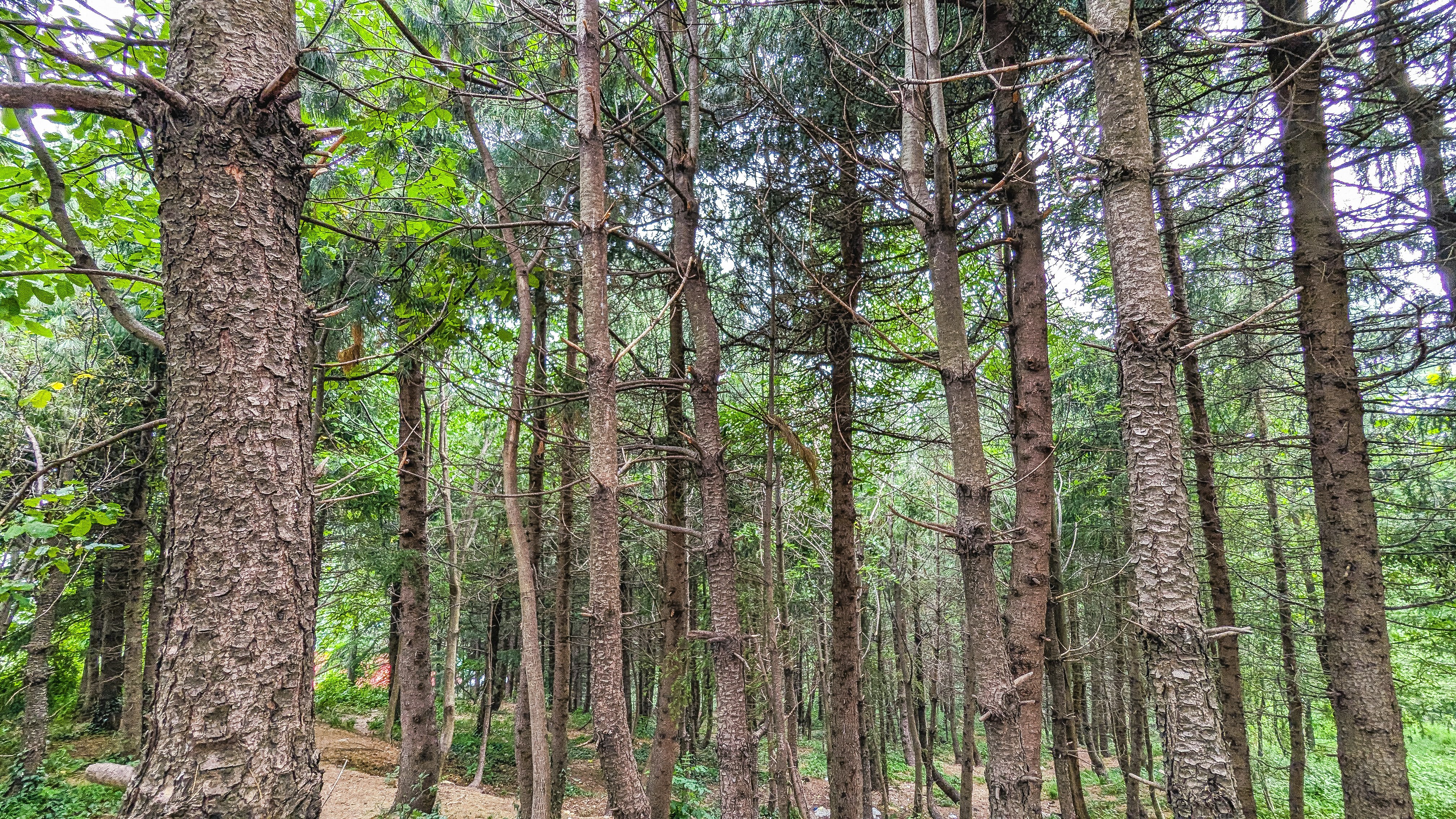 Photo by drphotographer152