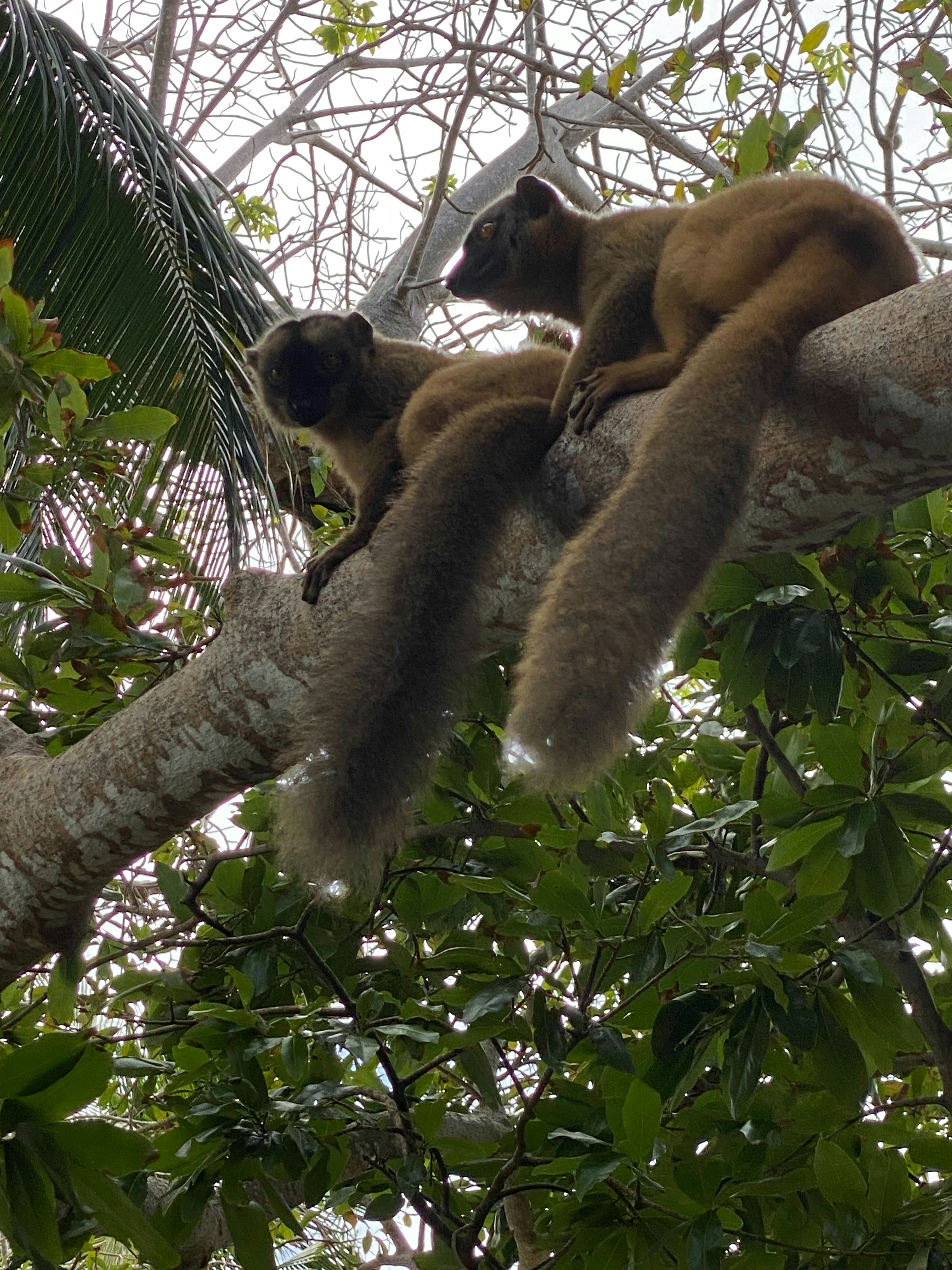 Photo by annedesboivries