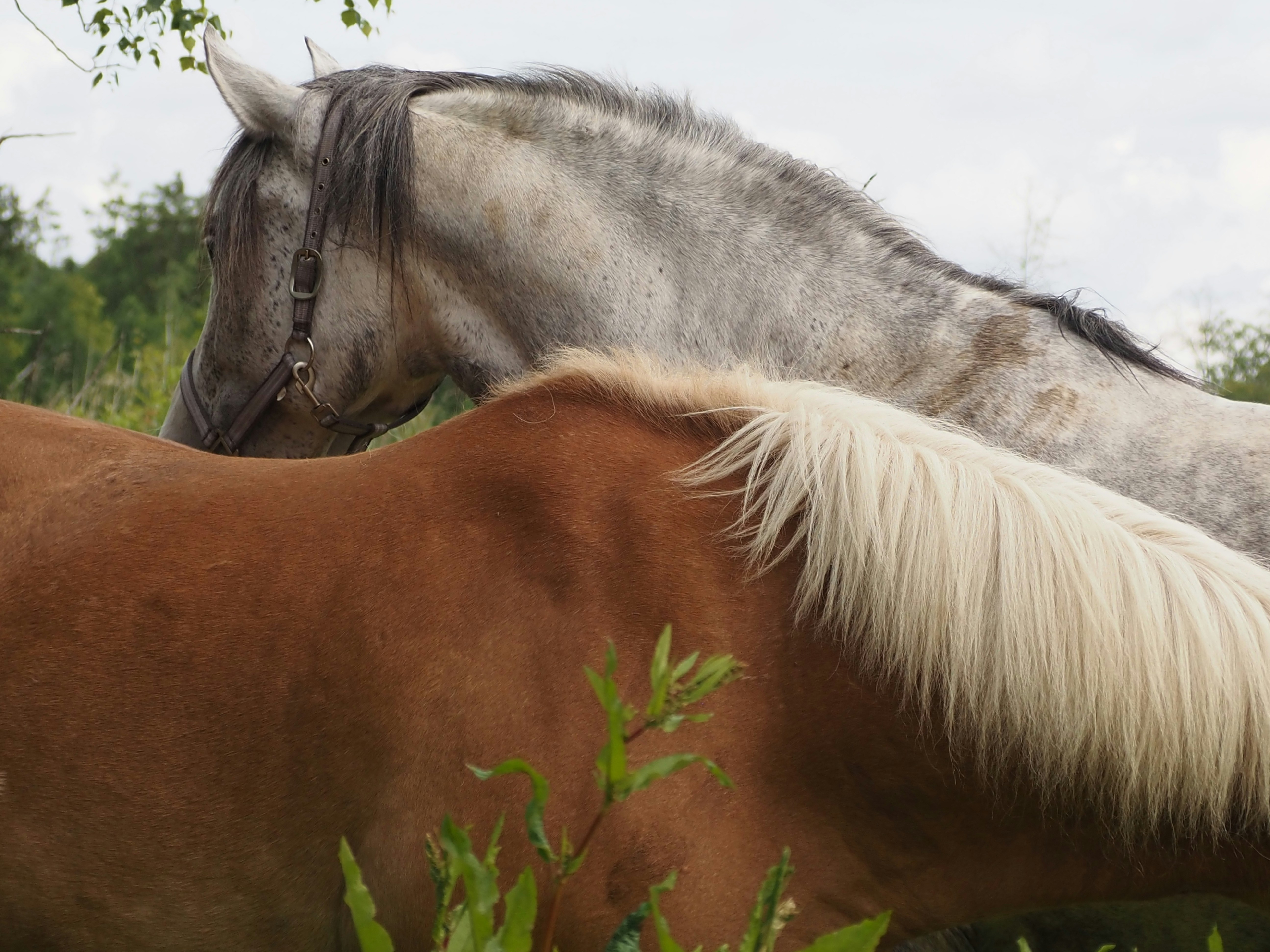 Photo by jackalope00