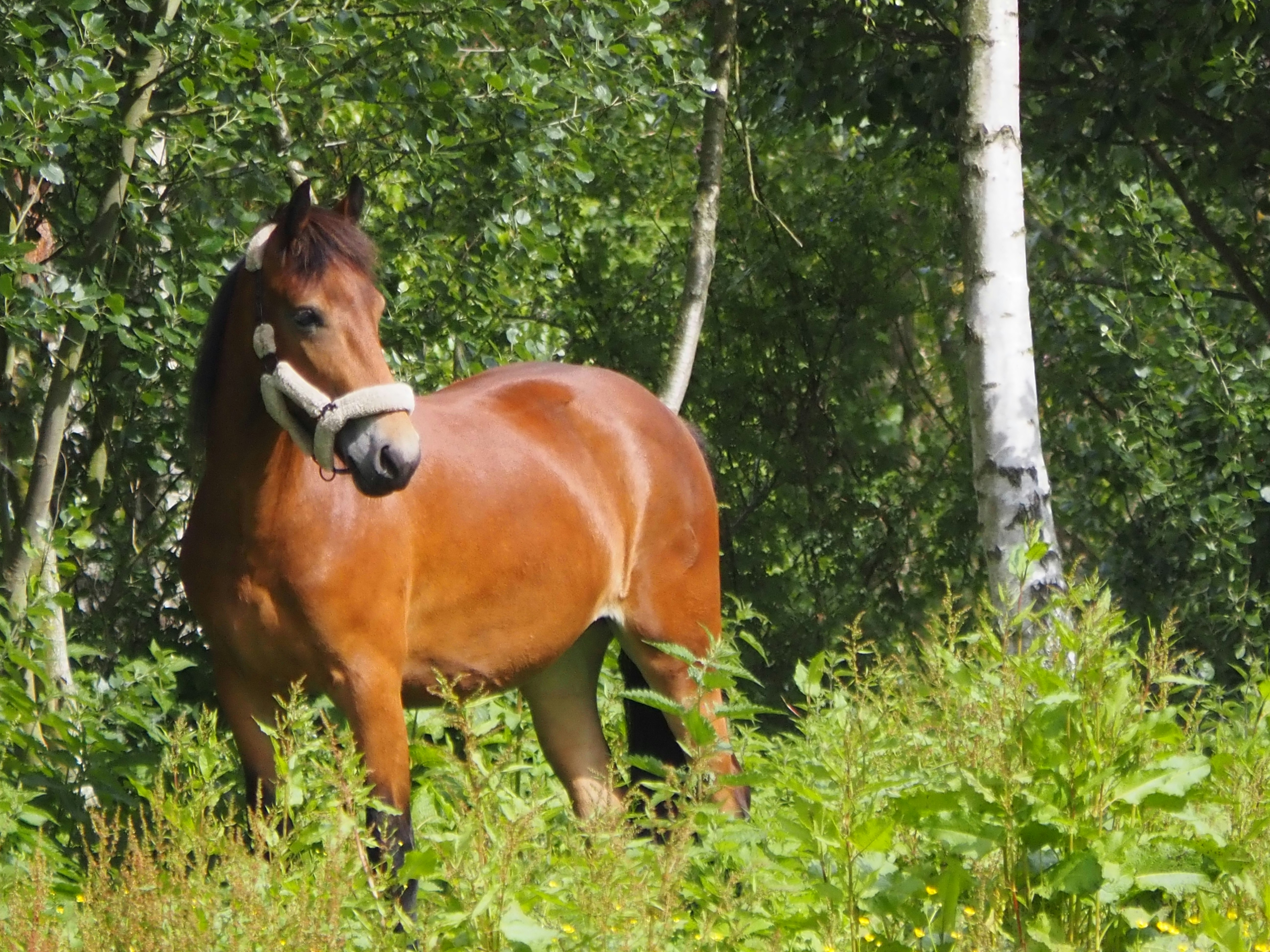 Photo by jackalope00