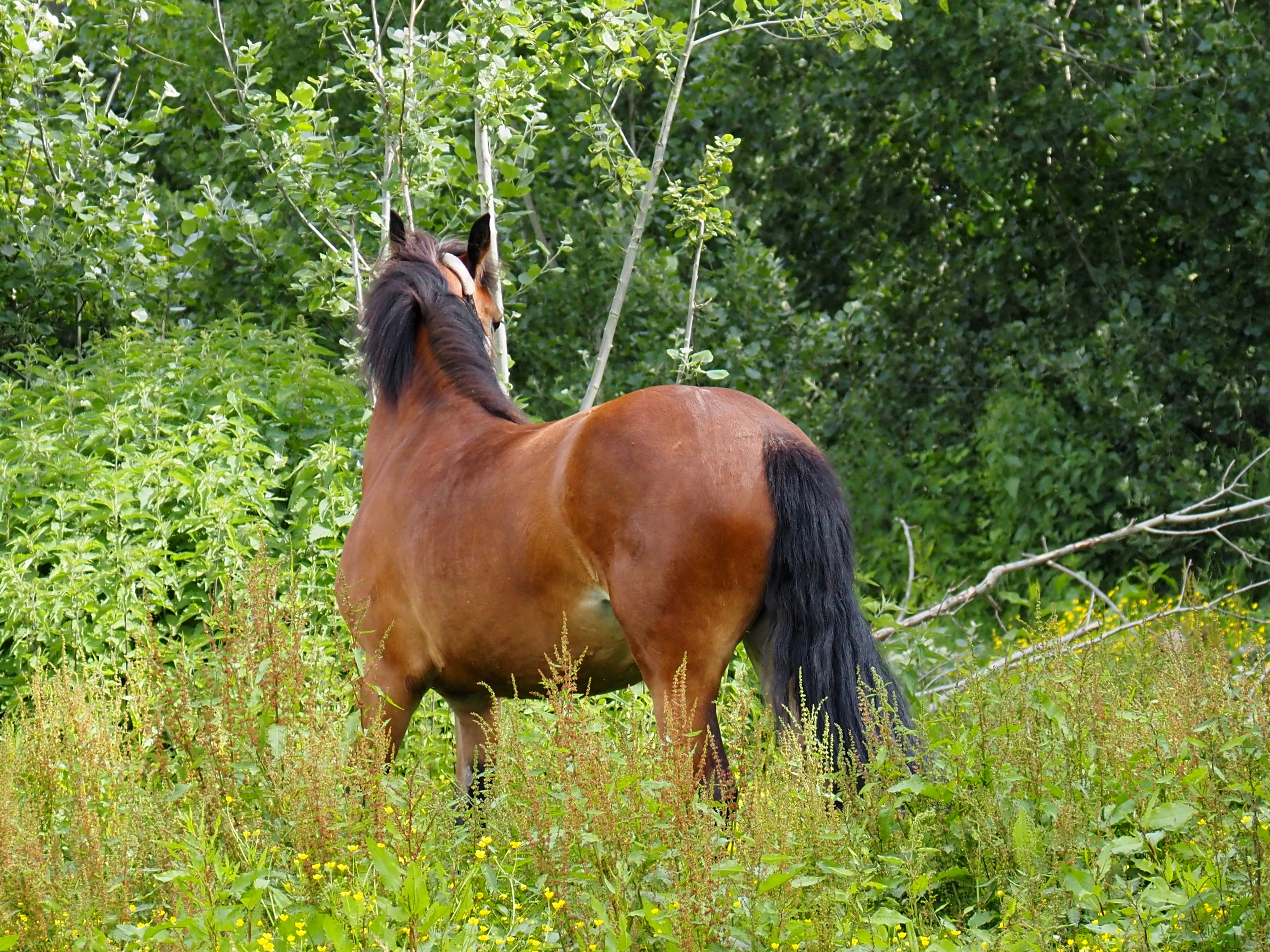 Photo by jackalope00