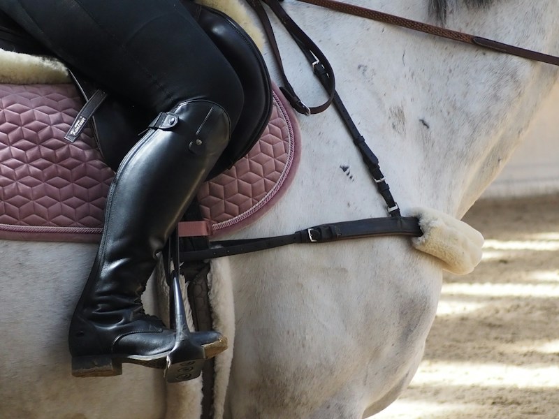 A black riding boot in a stirrup on a white horse