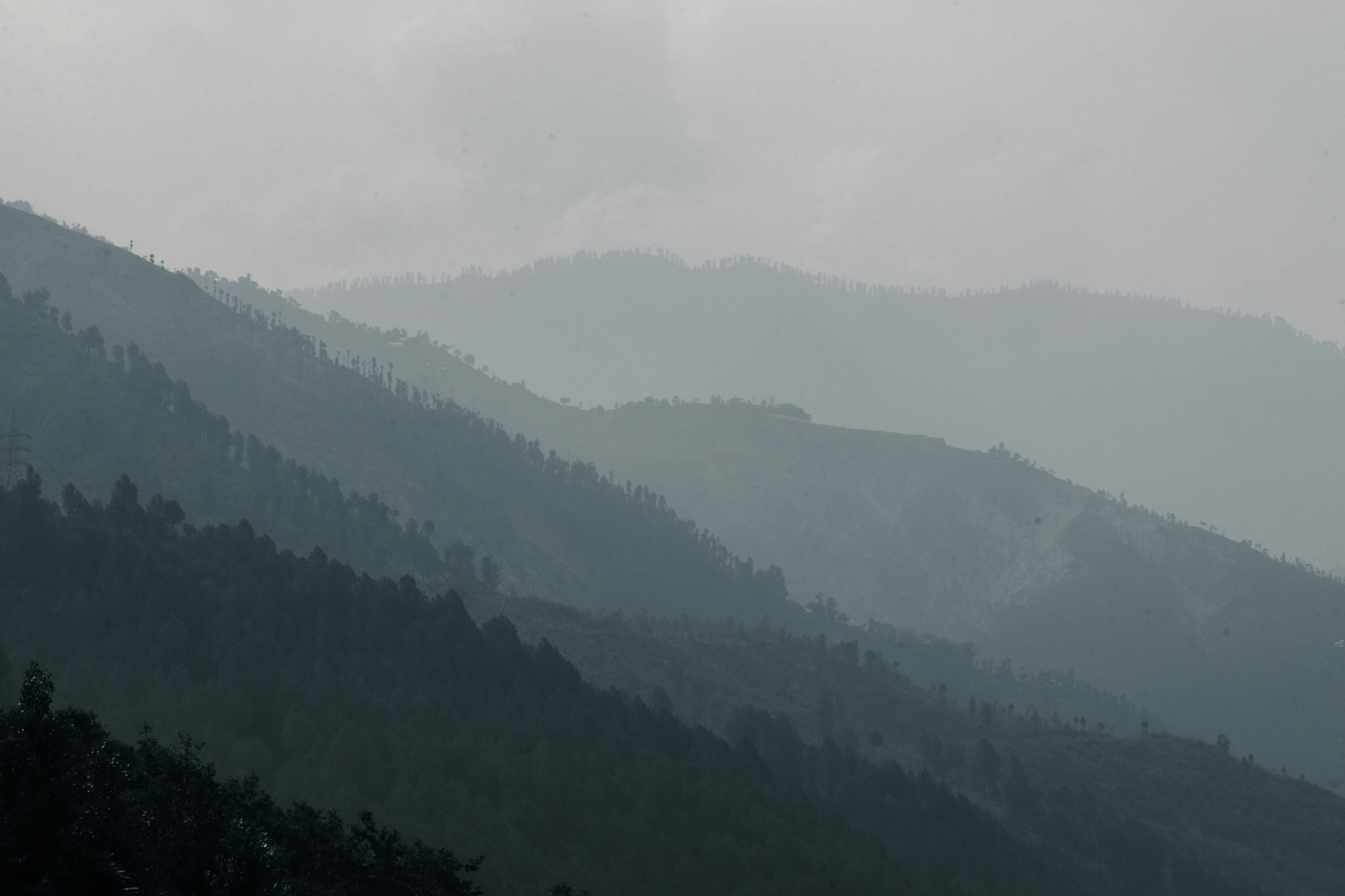 Photo by drphotographer152