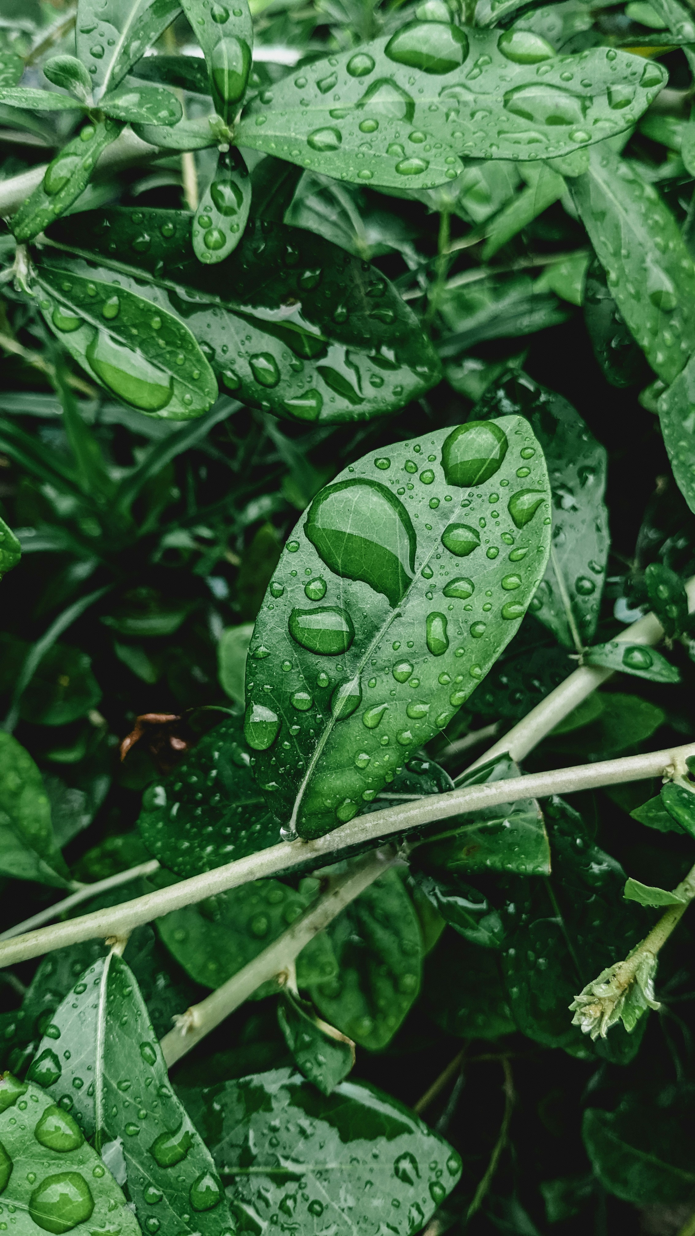 Photo by drphotographer152