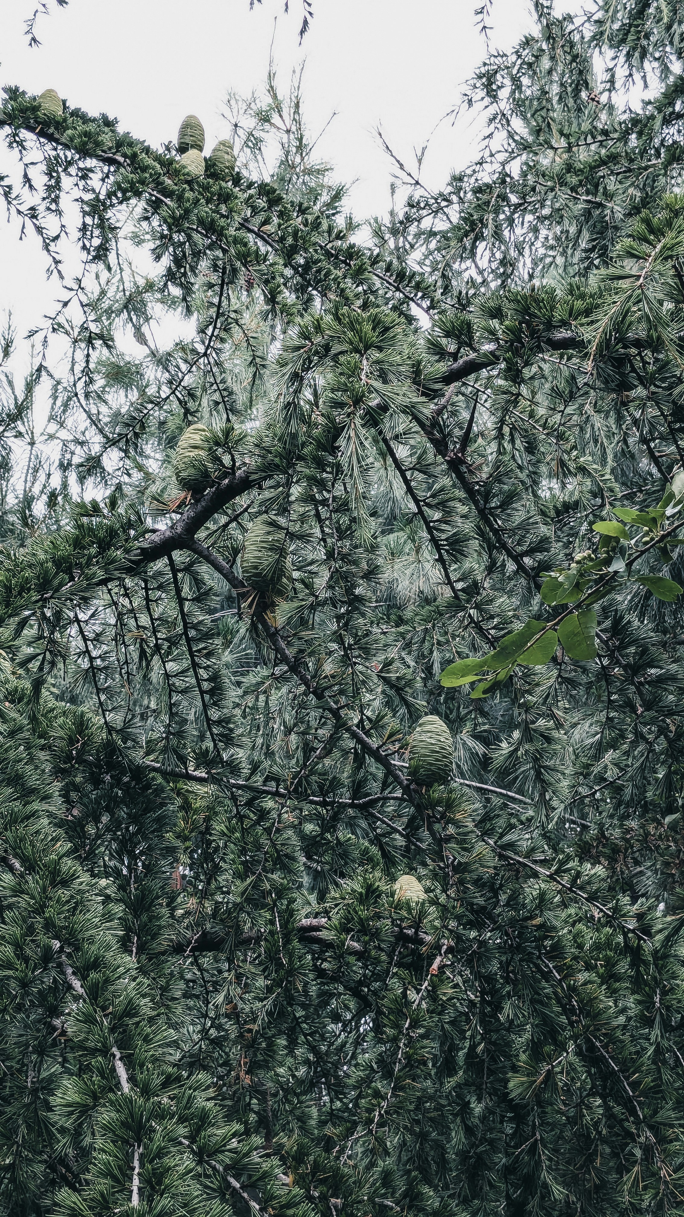 Photo by drphotographer152