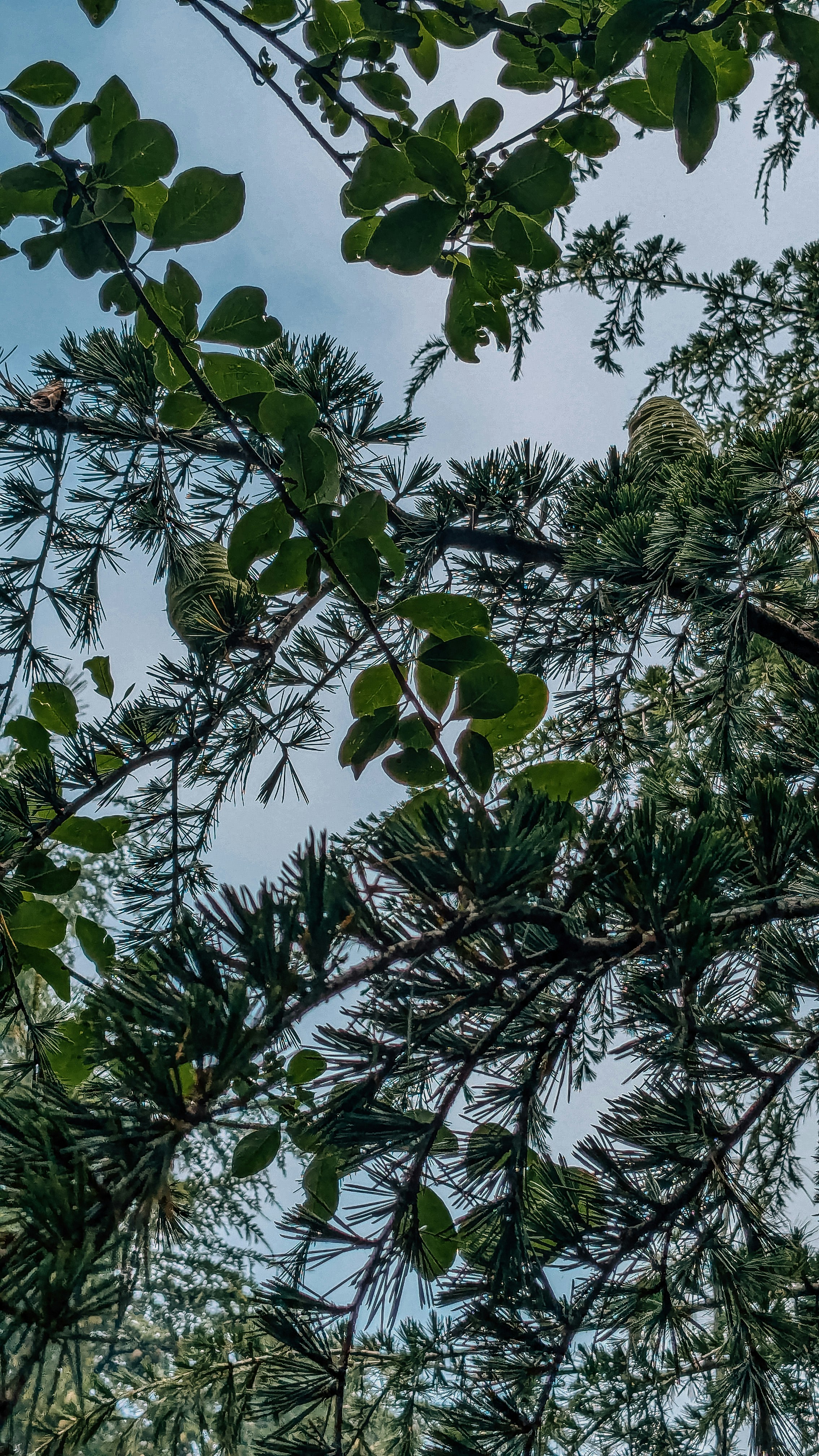 Photo by drphotographer152