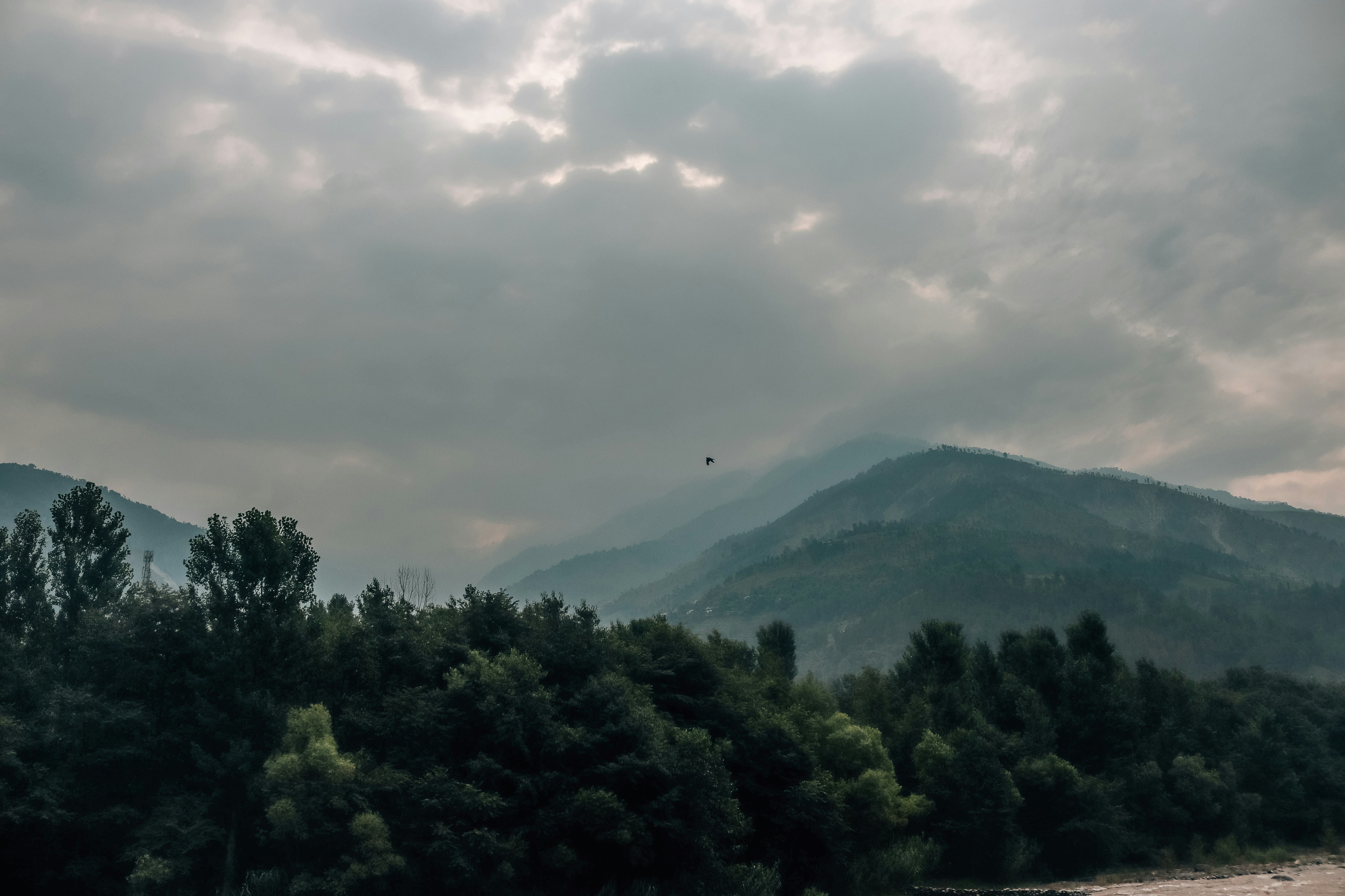 Photo by drphotographer152