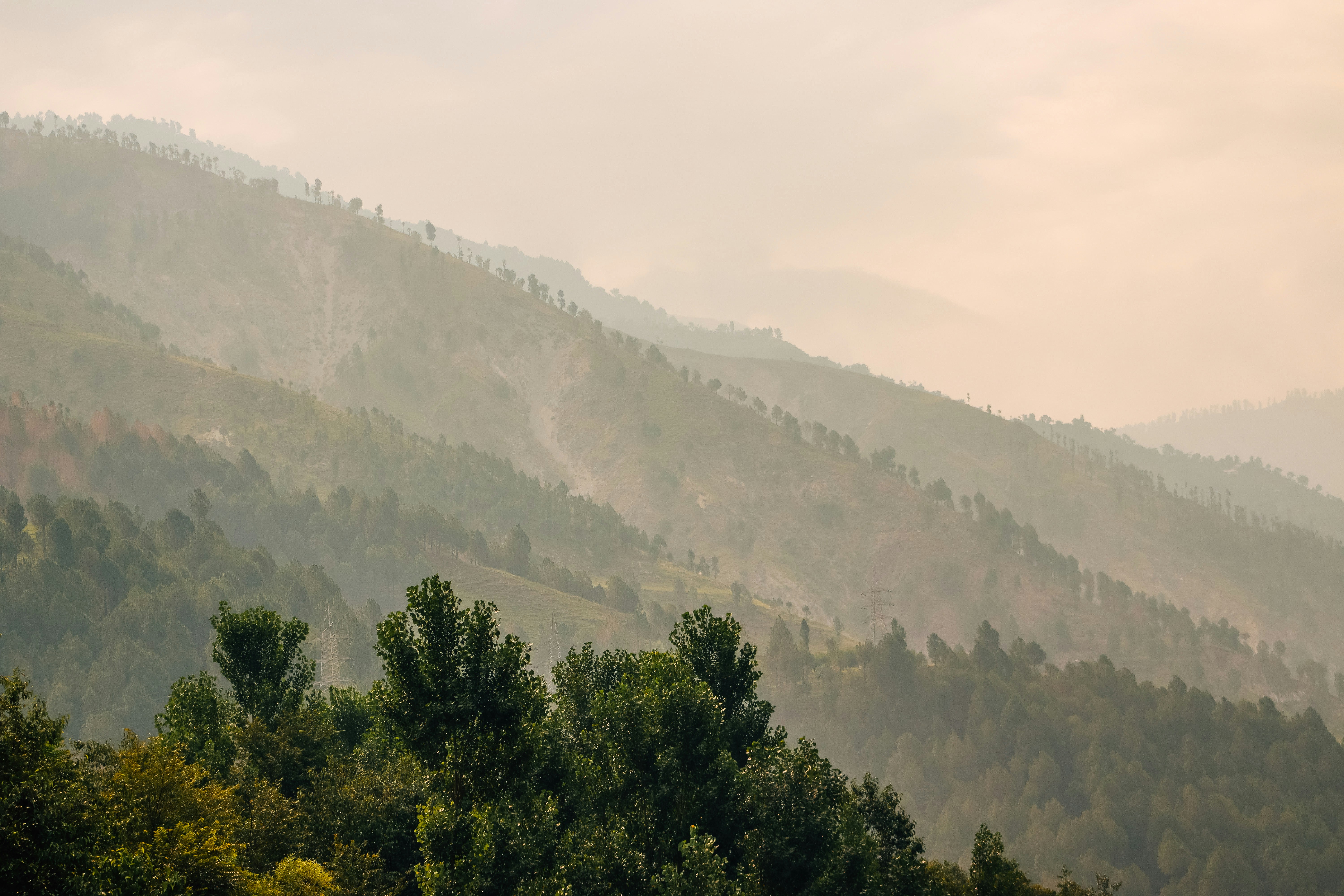 Photo by drphotographer152