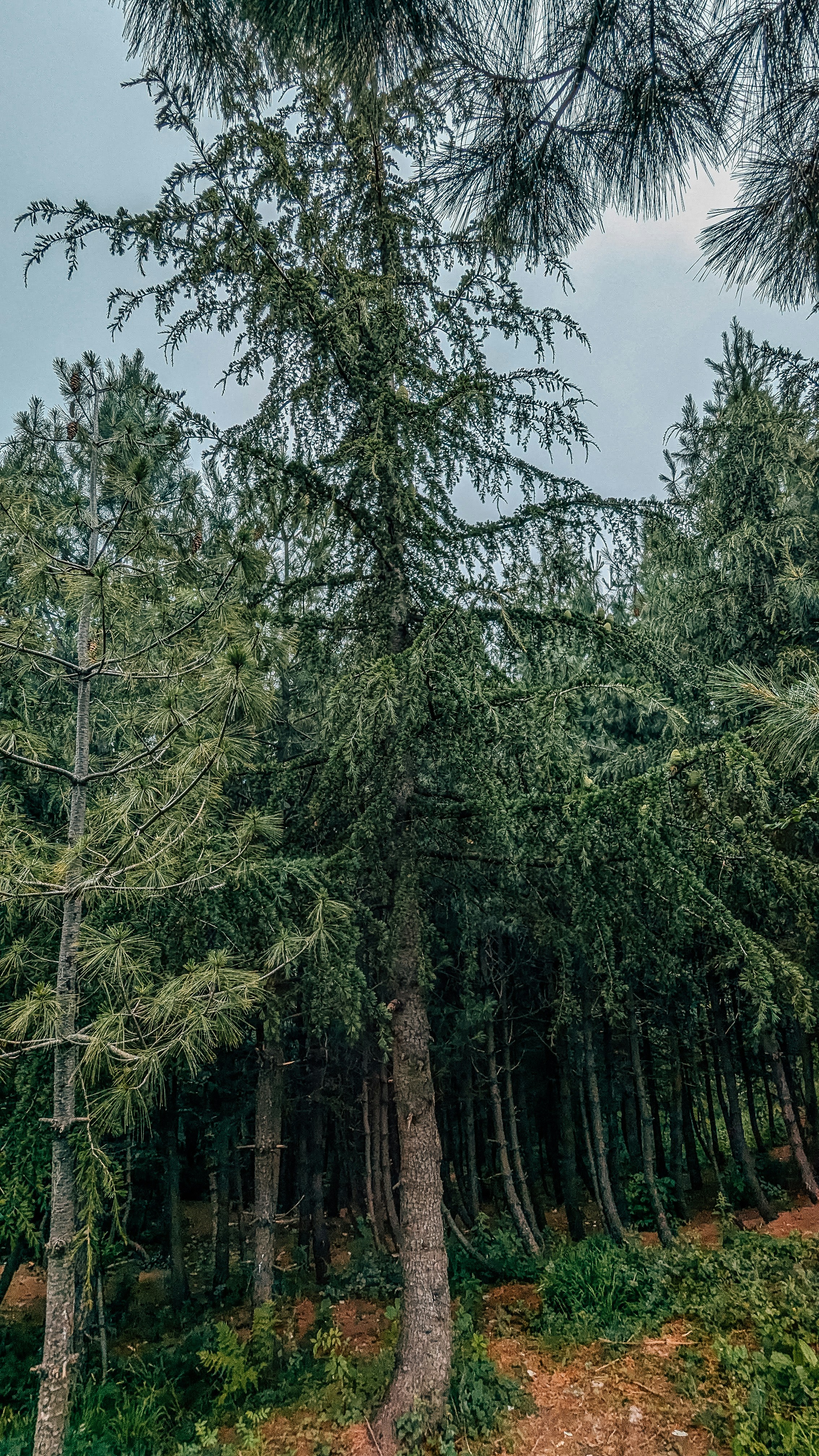 Photo by drphotographer152