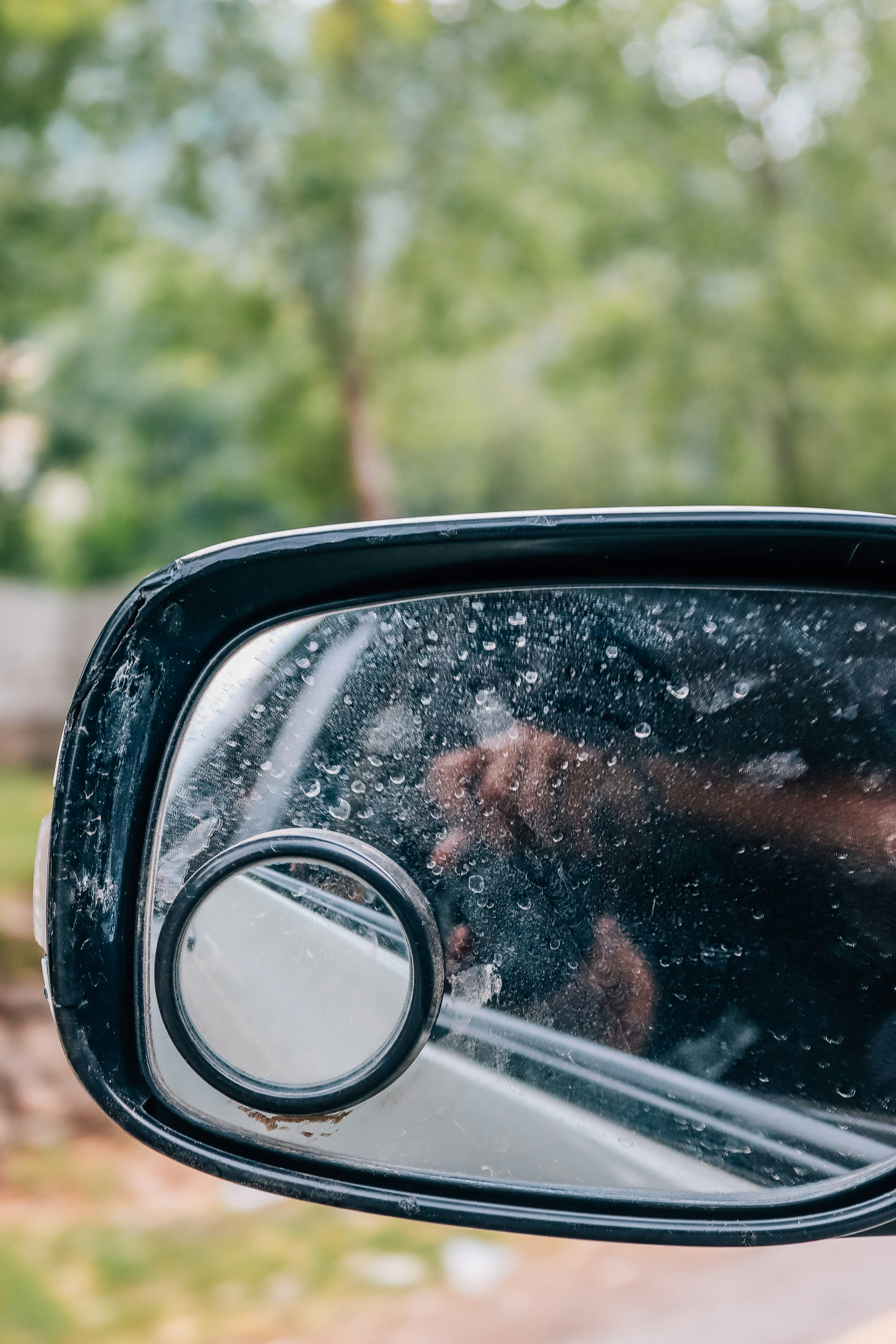 Photo by drphotographer152