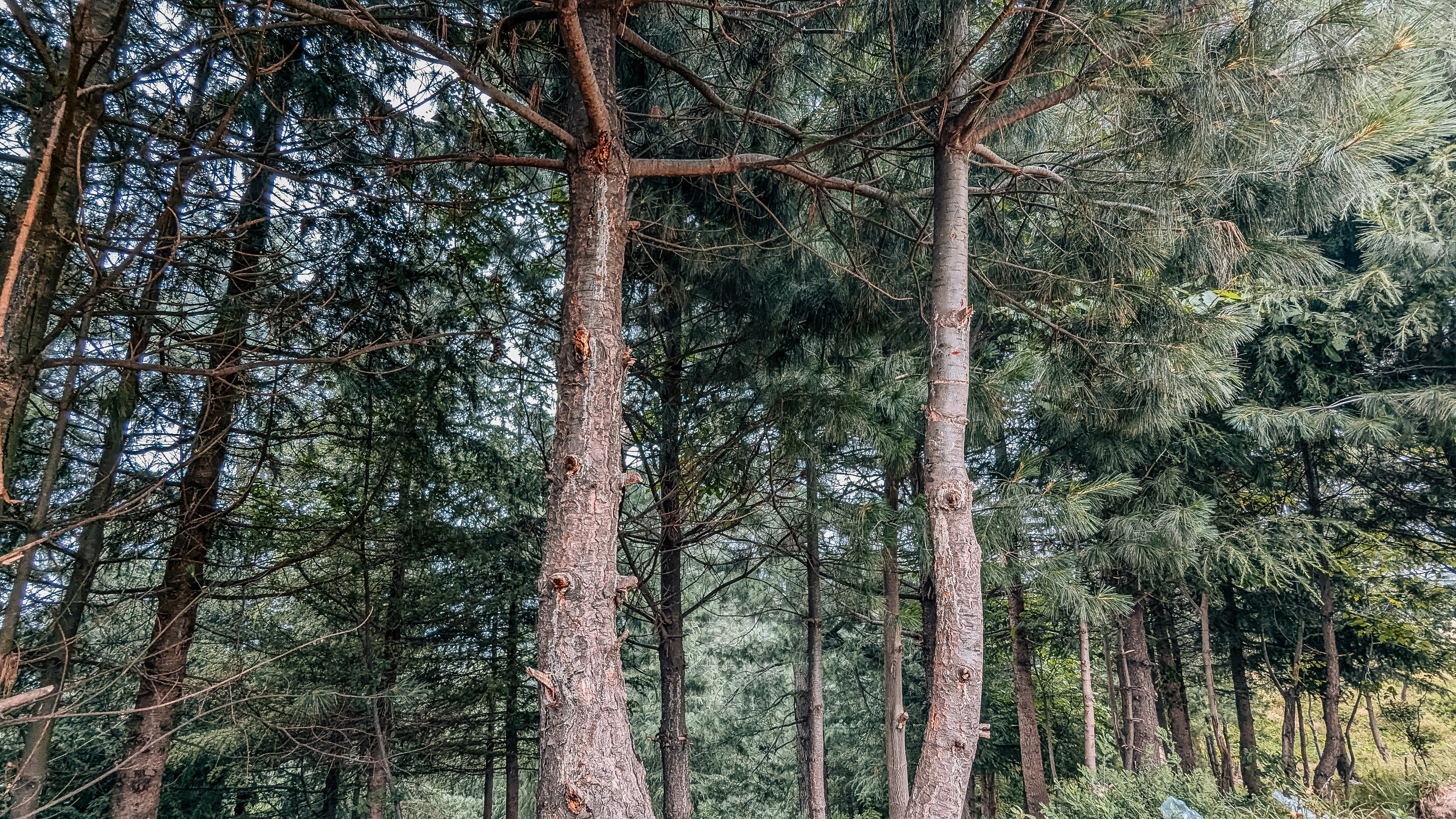 Photo by drphotographer152
