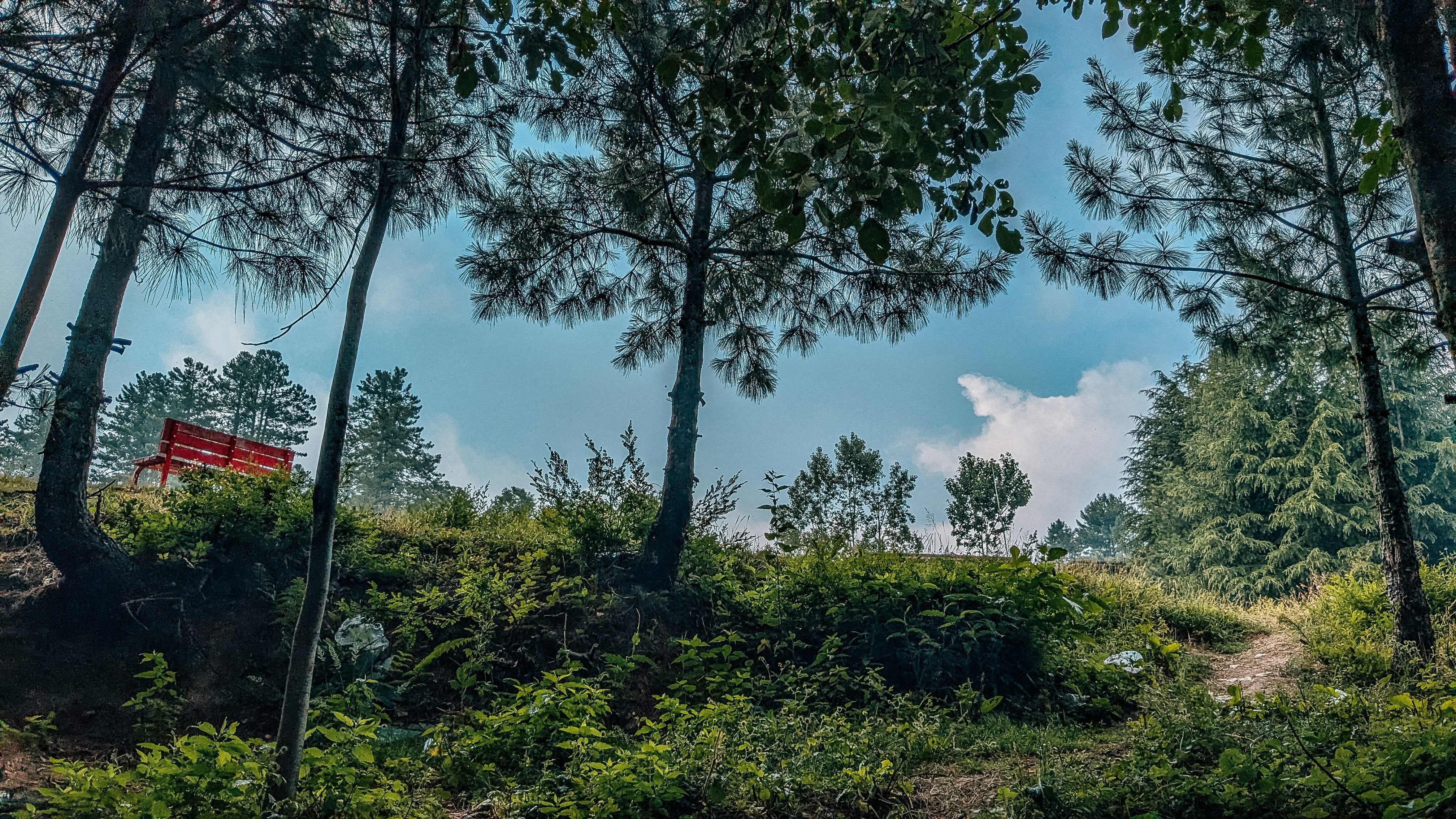 Photo by drphotographer152