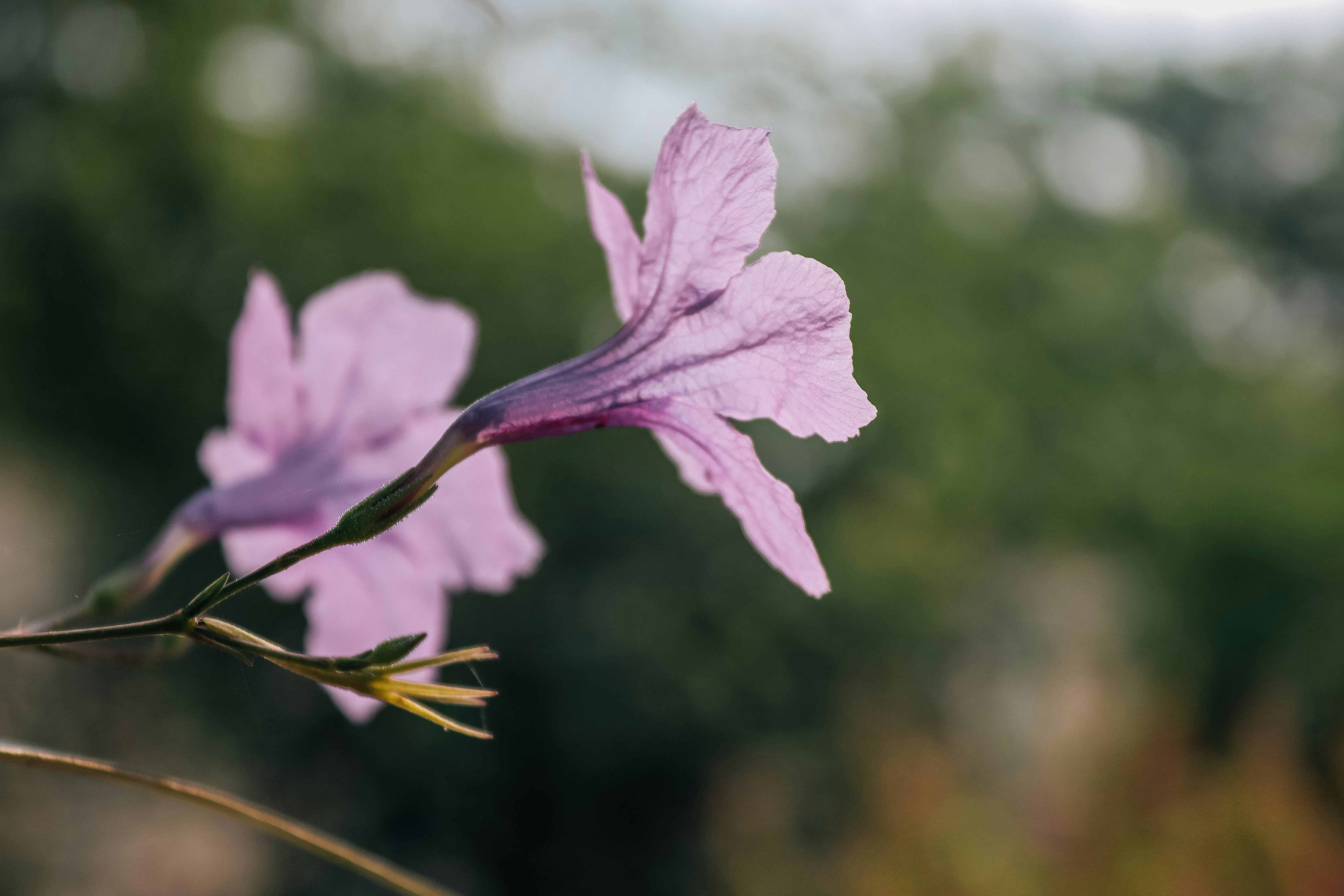 Photo by drphotographer152