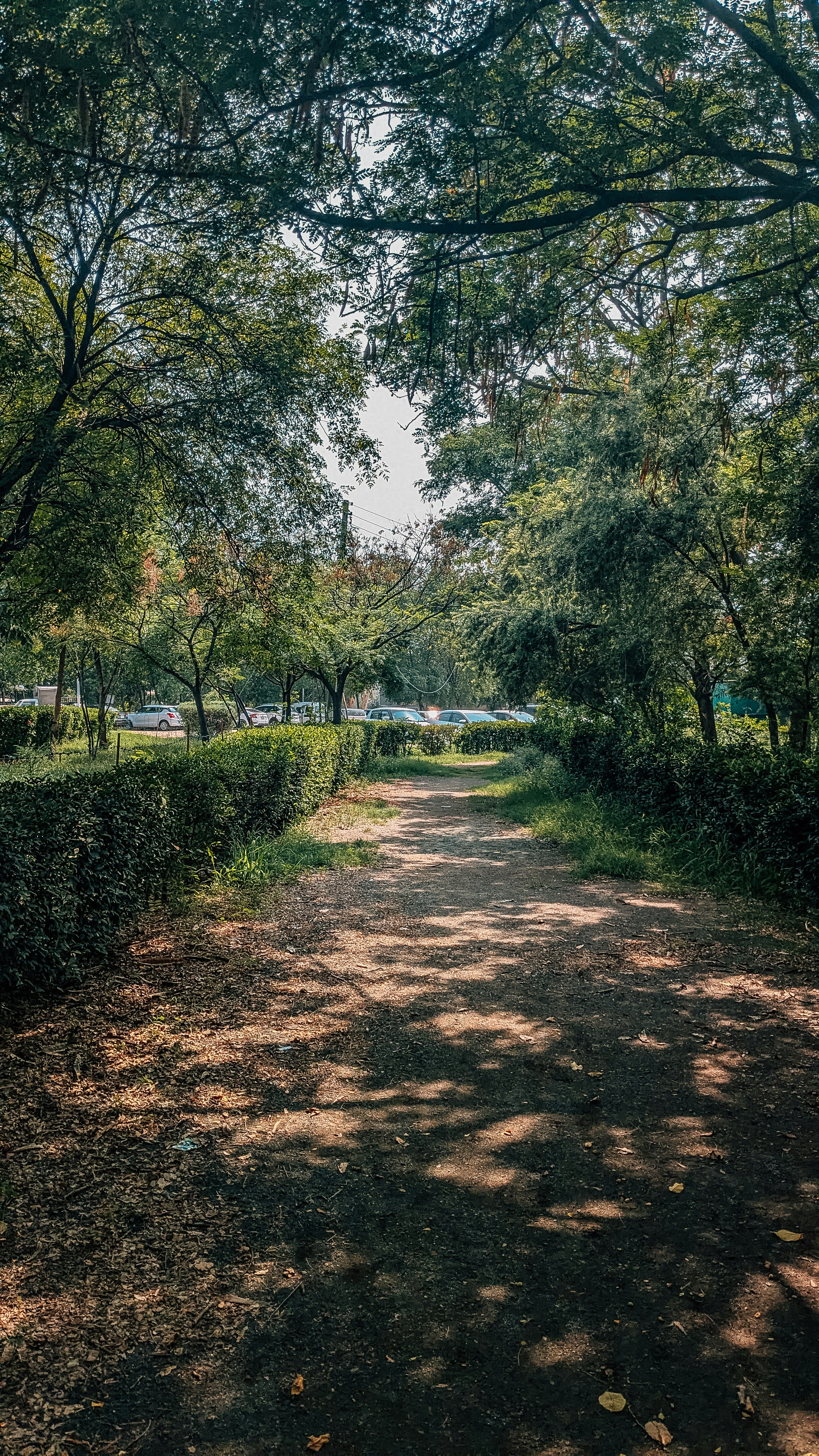 Photo by drphotographer152