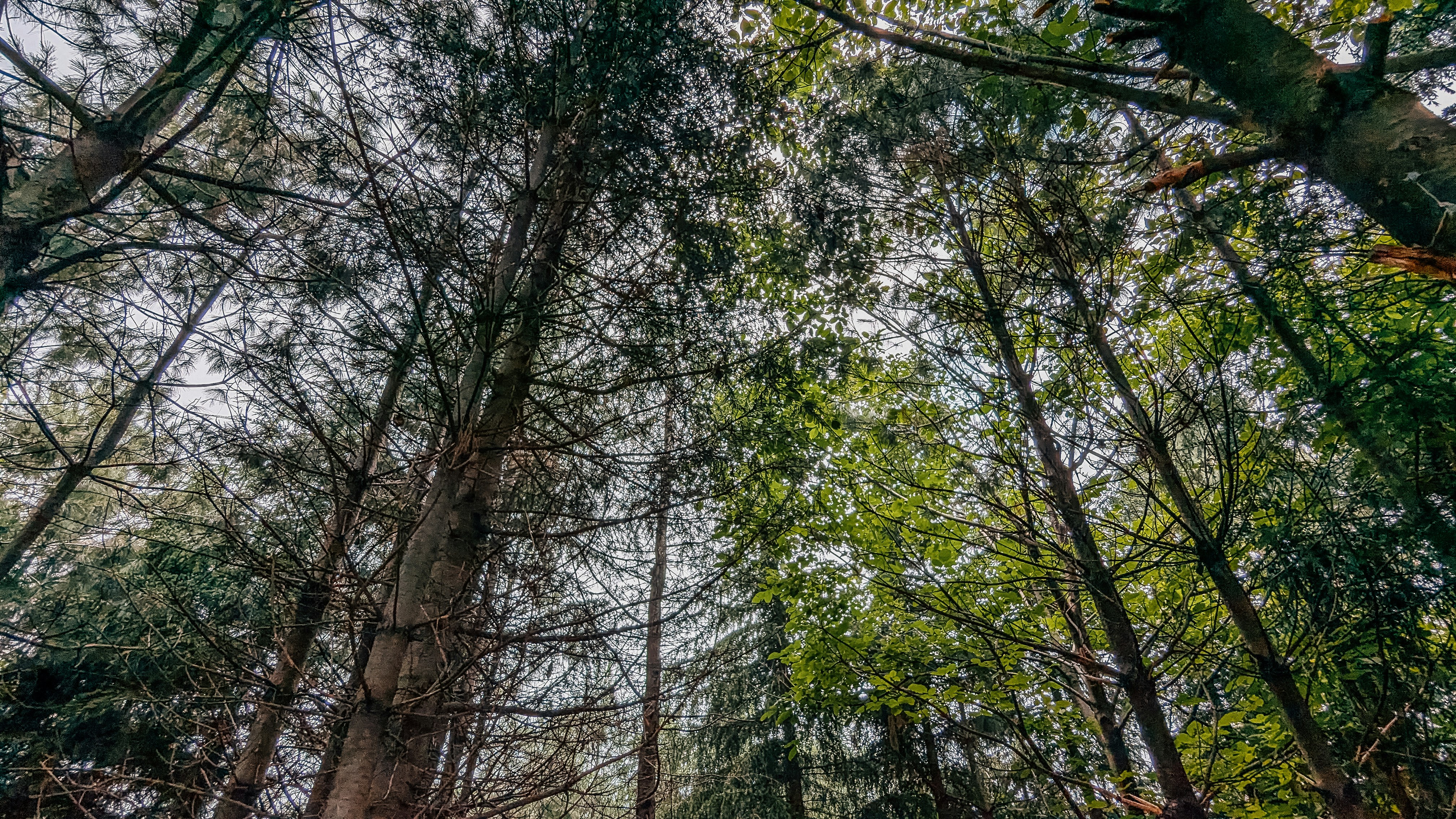 Photo by drphotographer152