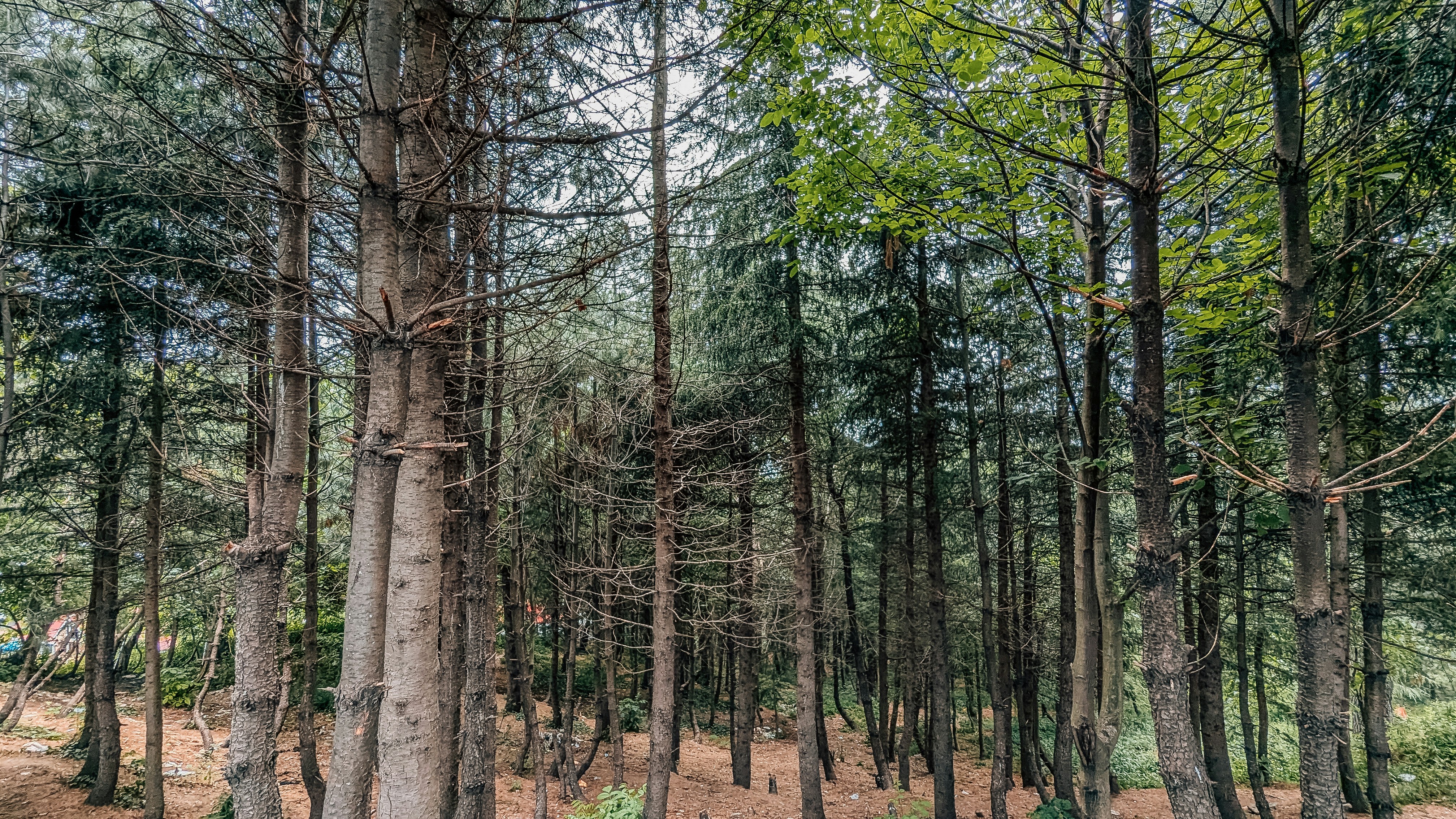 Photo by drphotographer152