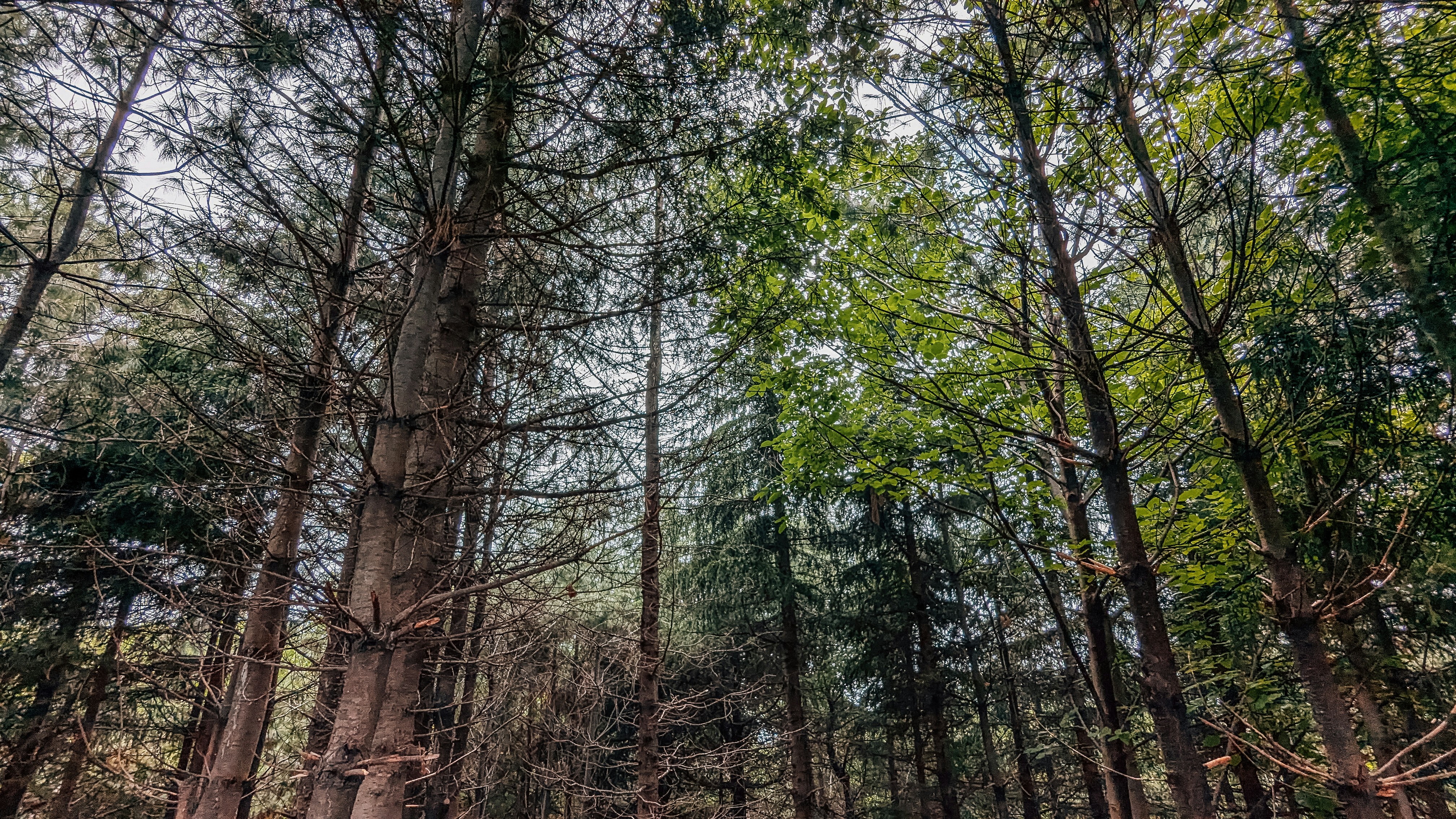 Photo by drphotographer152