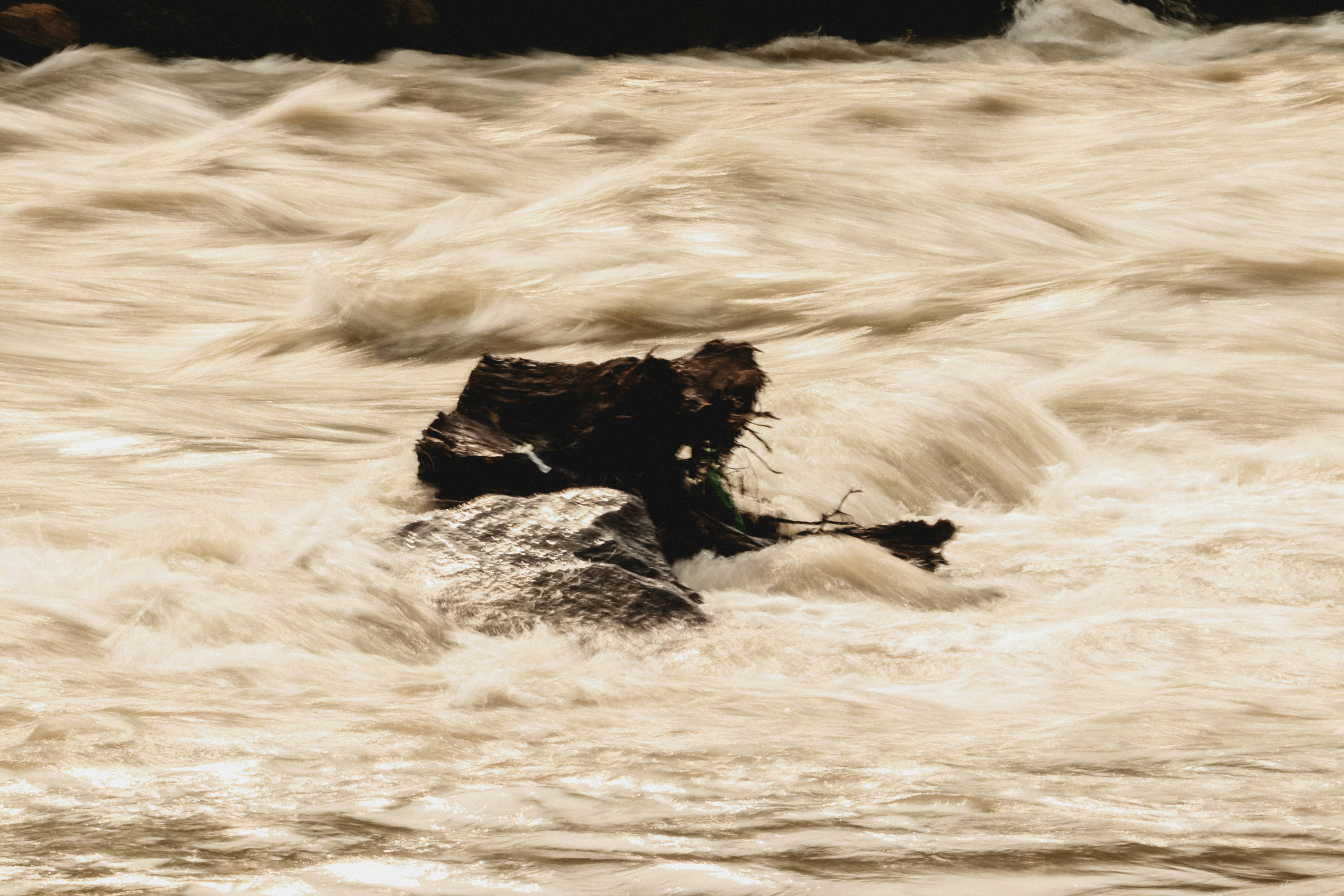 Photo by drphotographer152