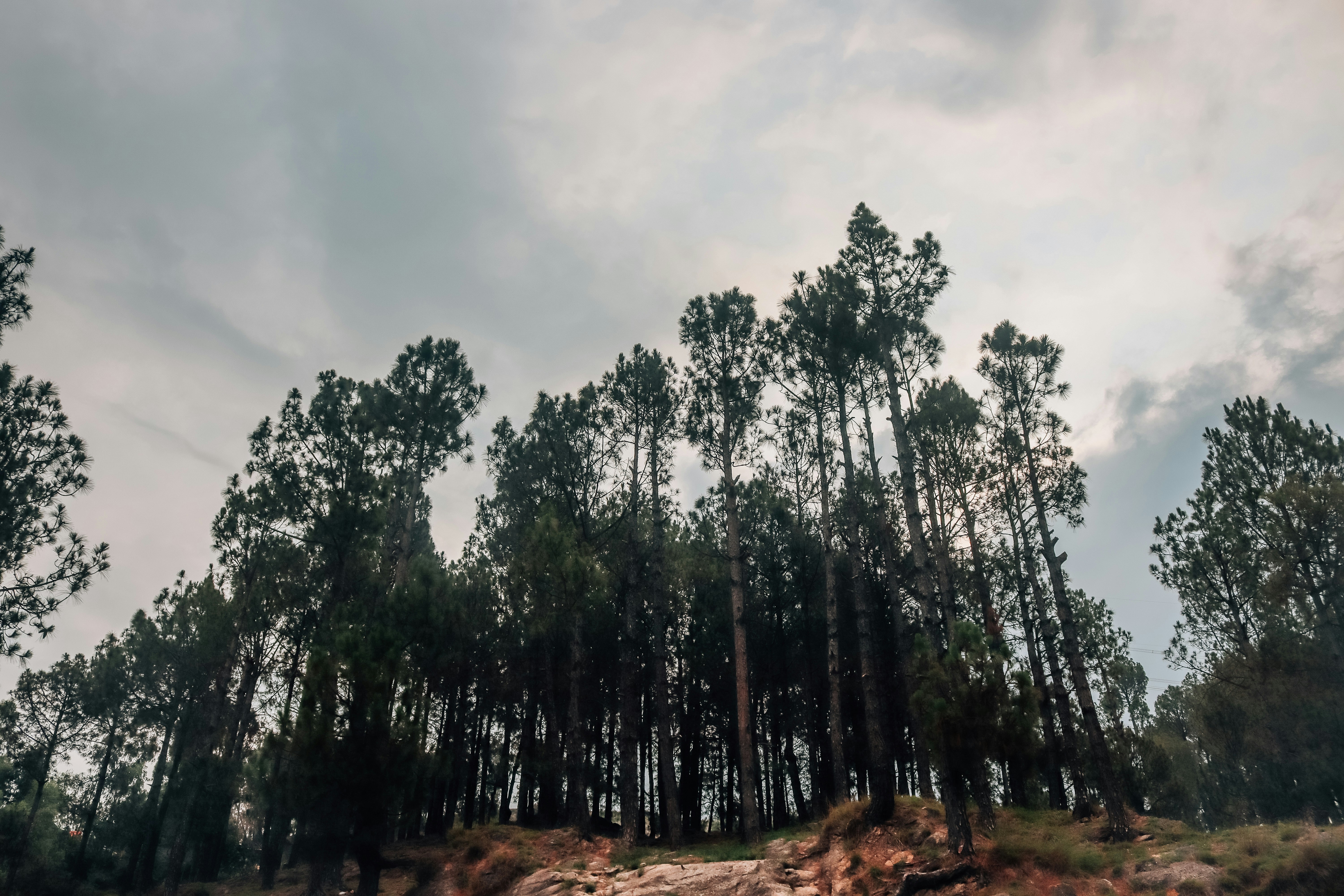 Photo by drphotographer152