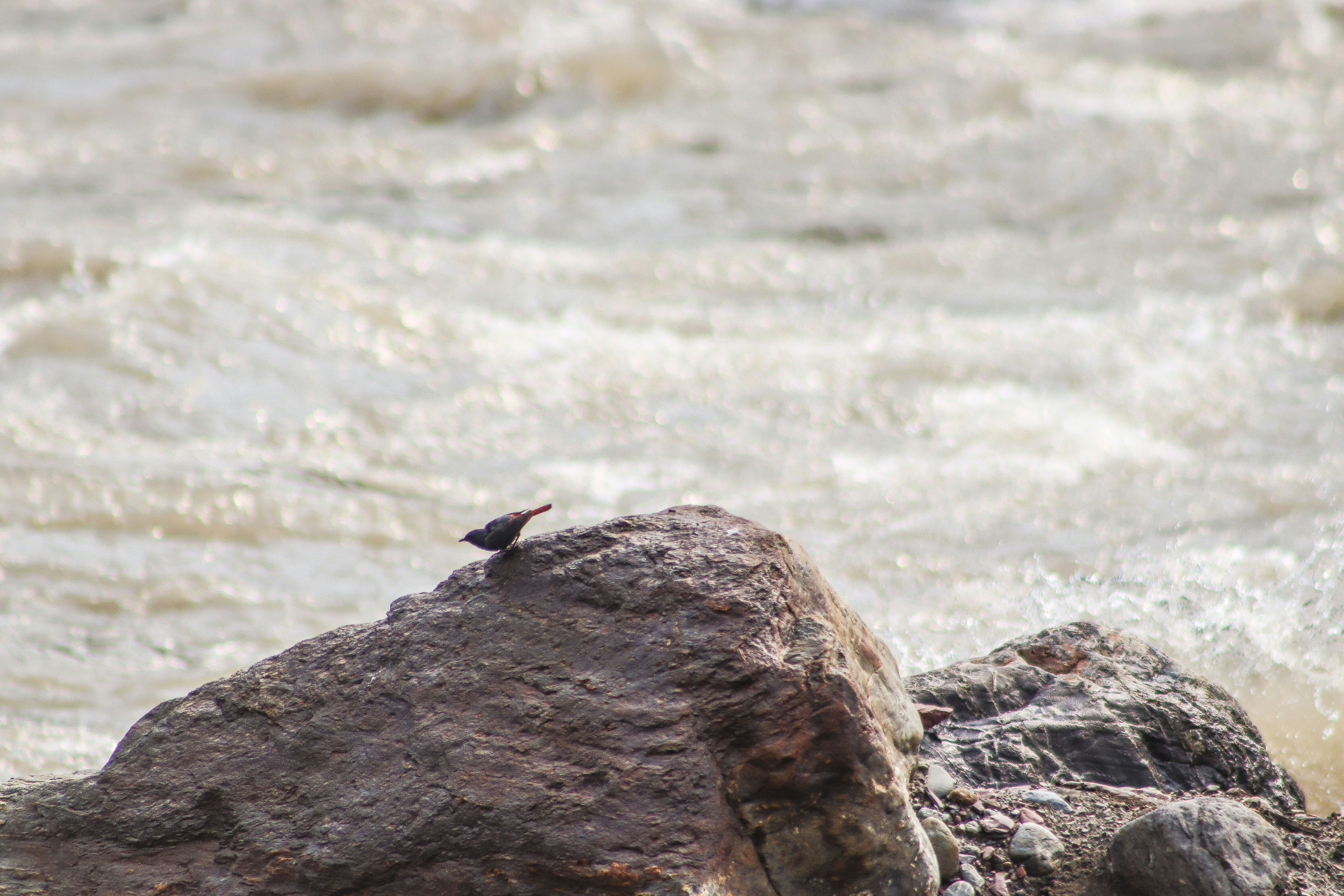 Photo by drphotographer152