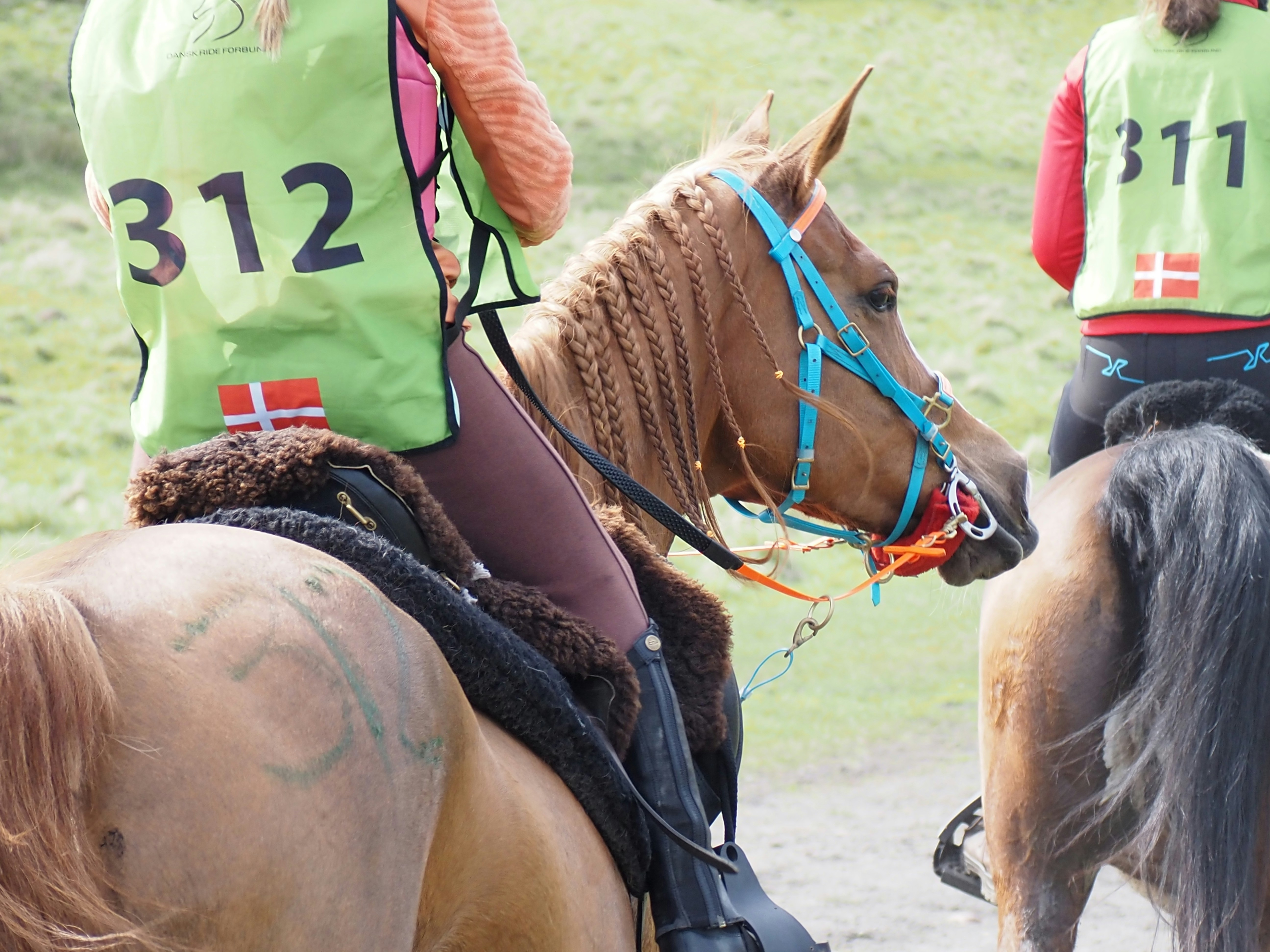 Rider wearing modern safety helmet and protective vest