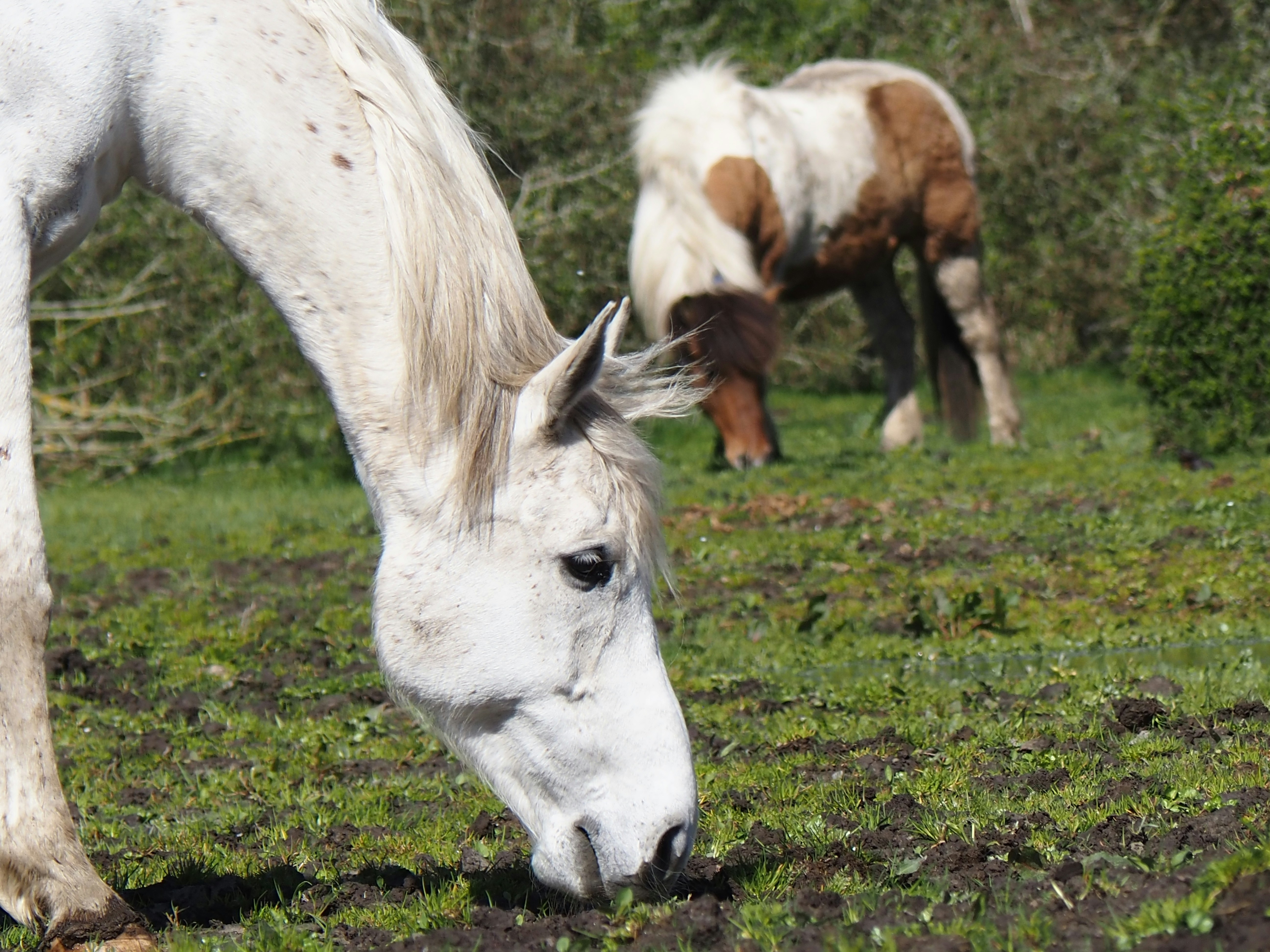 Photo by jackalope00