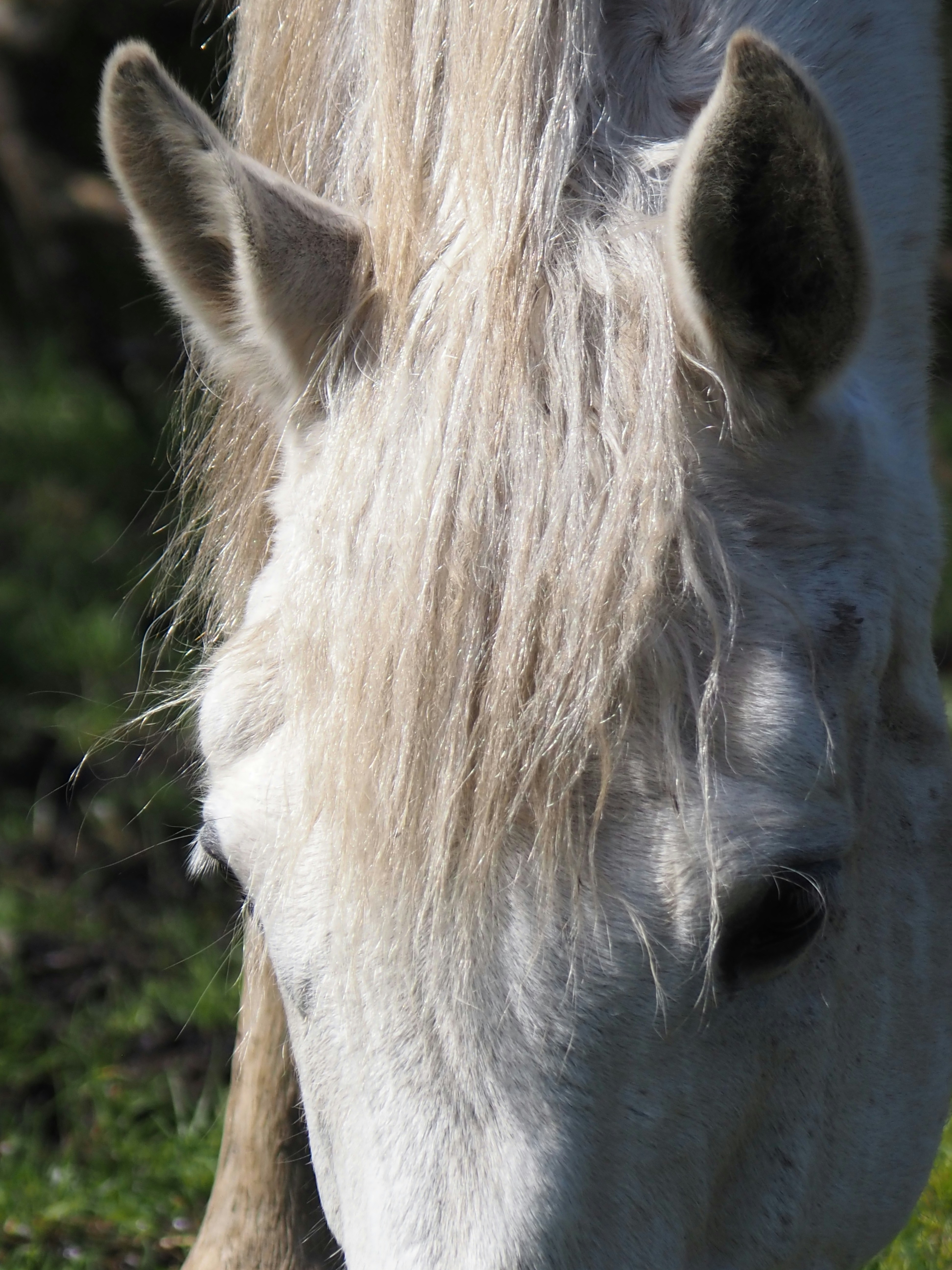 Photo by jackalope00