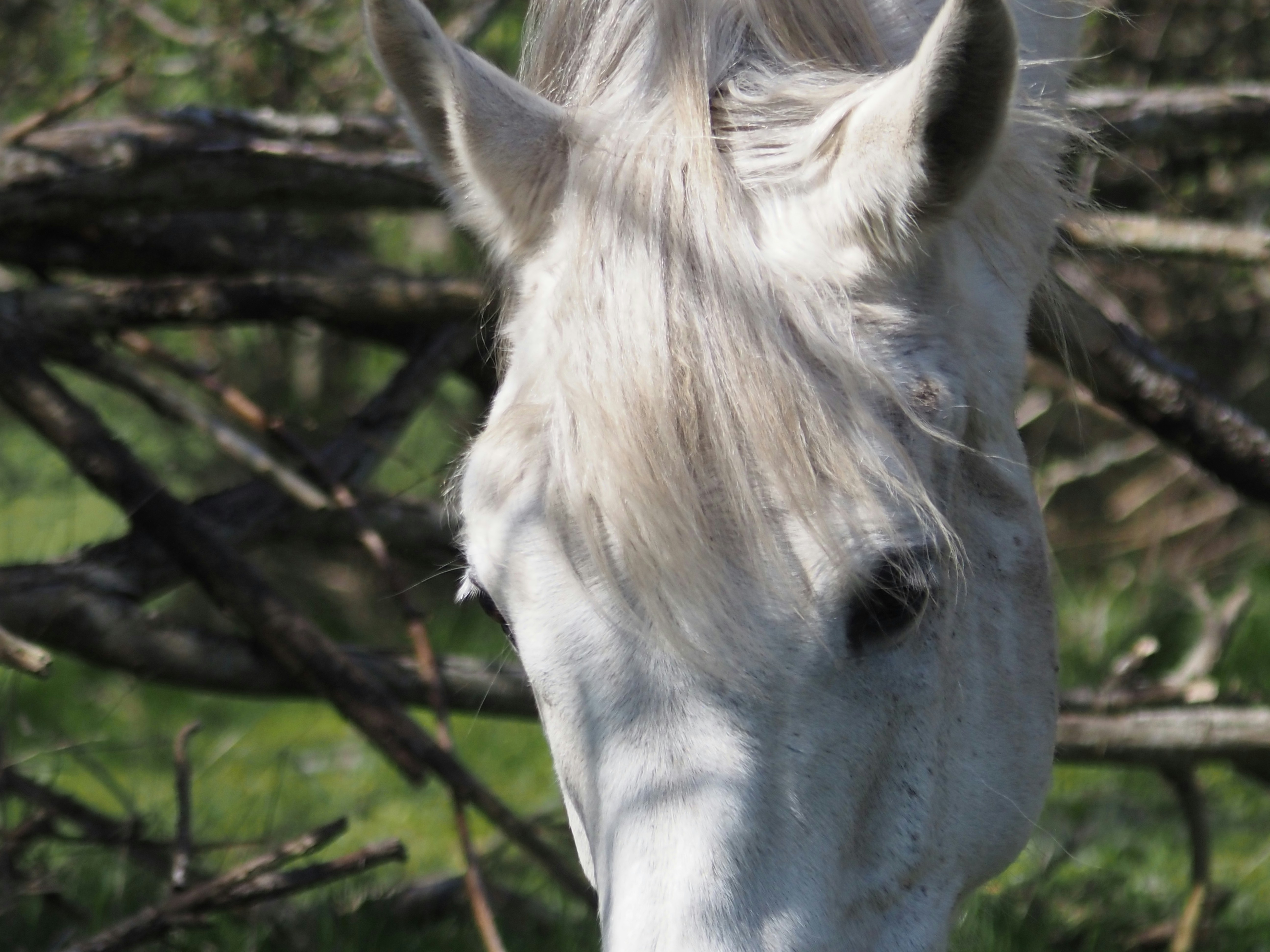 Photo by jackalope00