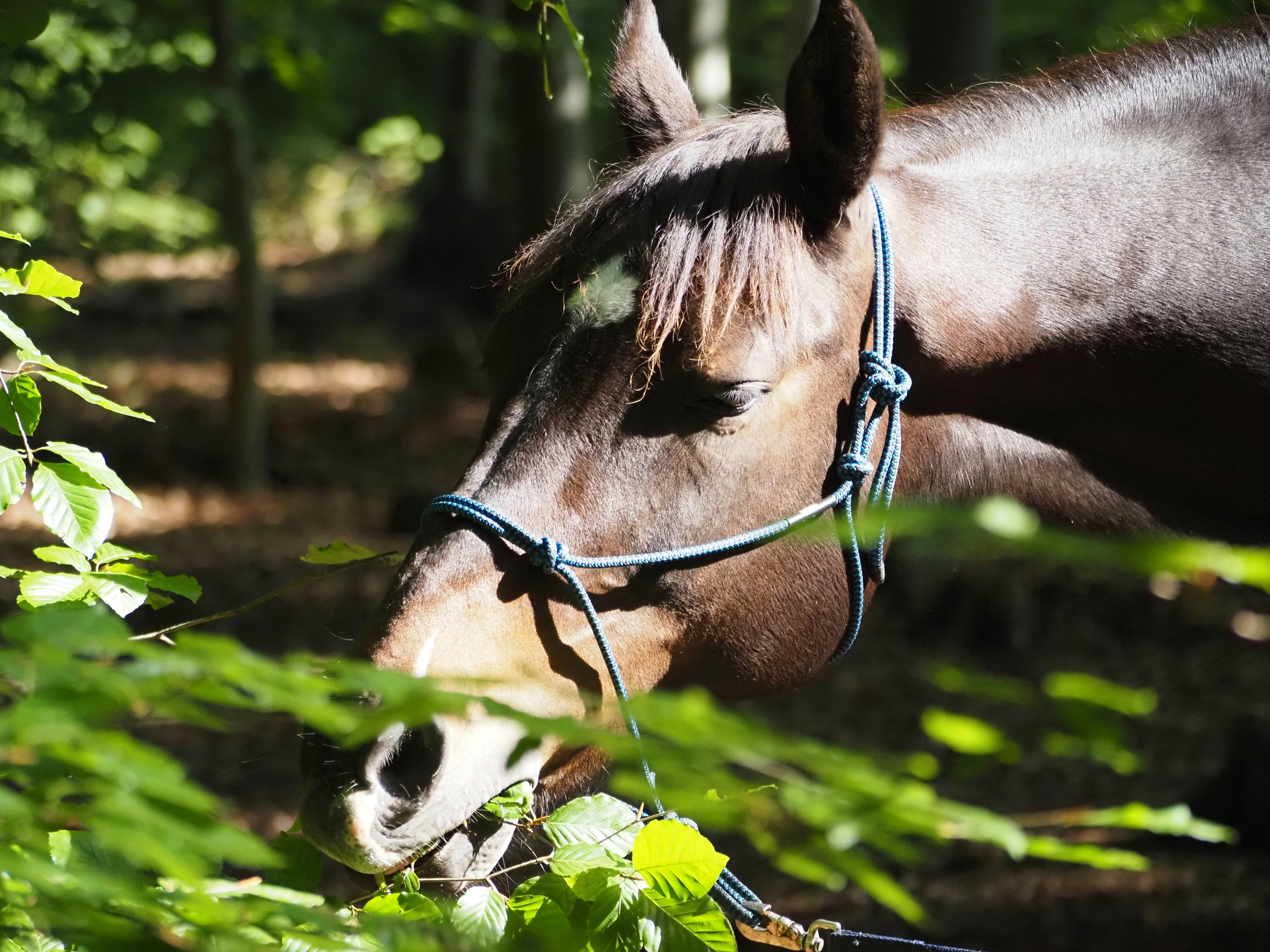 Photo by jackalope00