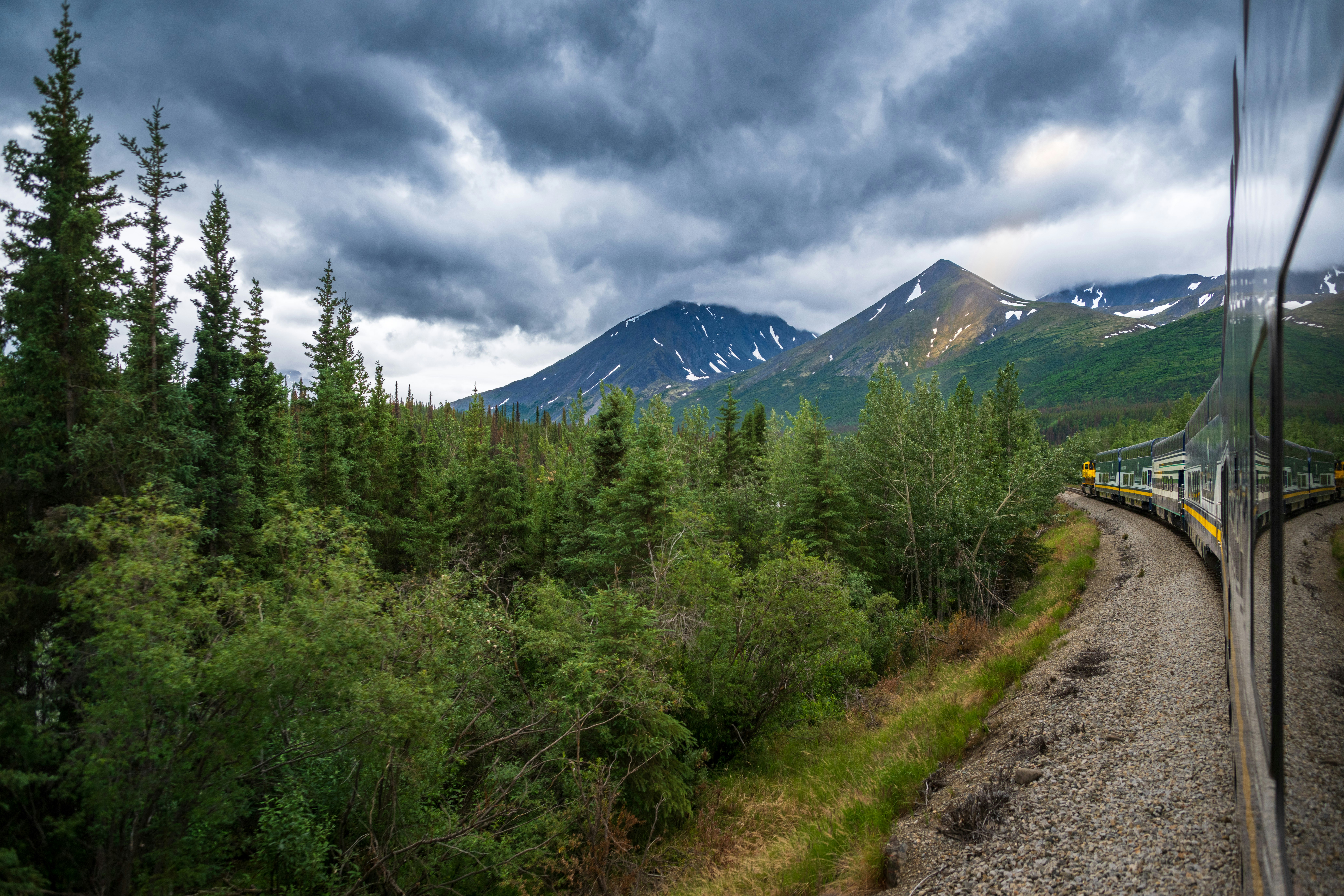 A train traveling through a lush green forest, A breathtaking view from a train journey through Denali National Park, showcasing dramatic mountains and dense evergreen forests under a moody sky