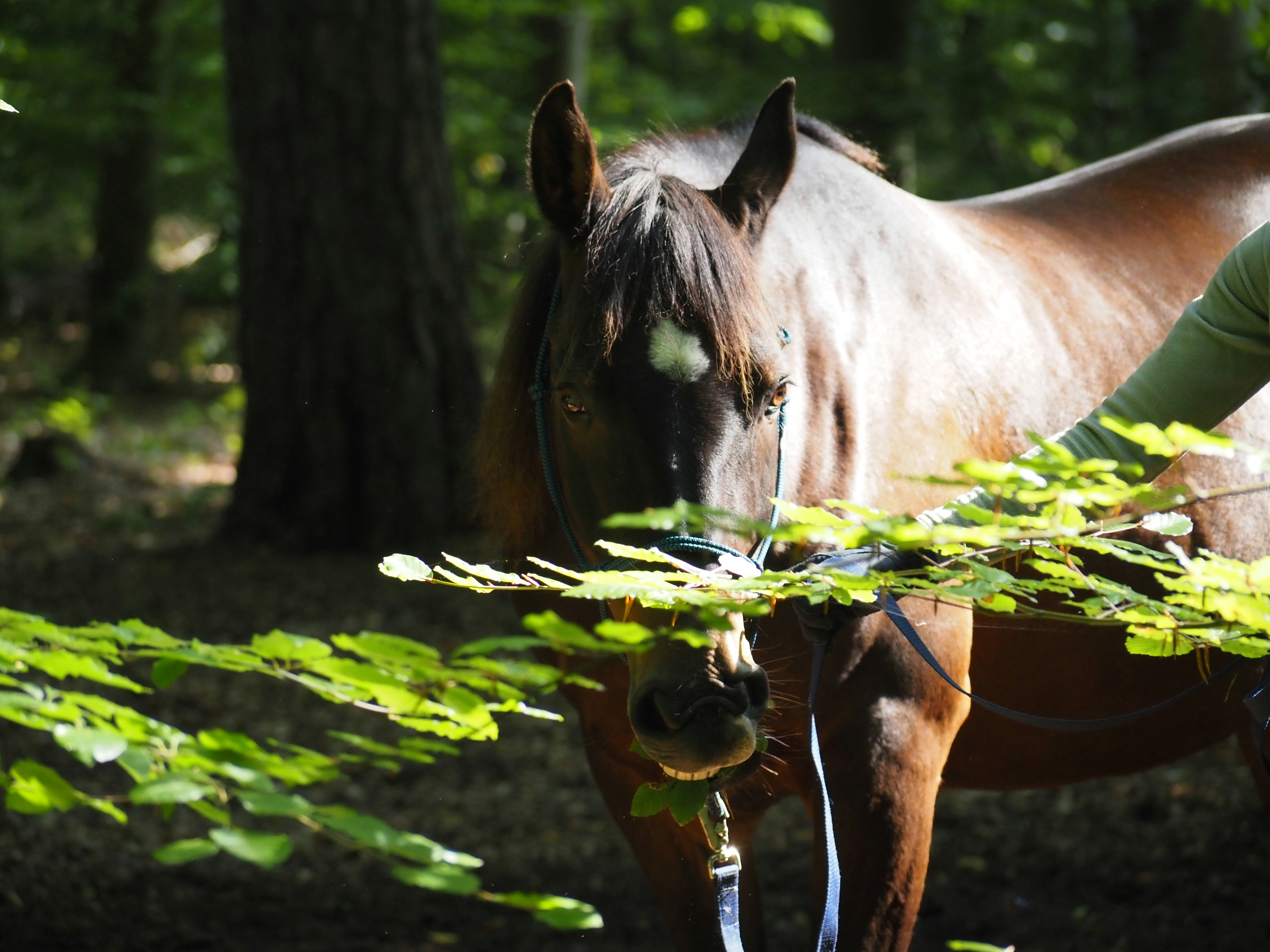 Photo by jackalope00