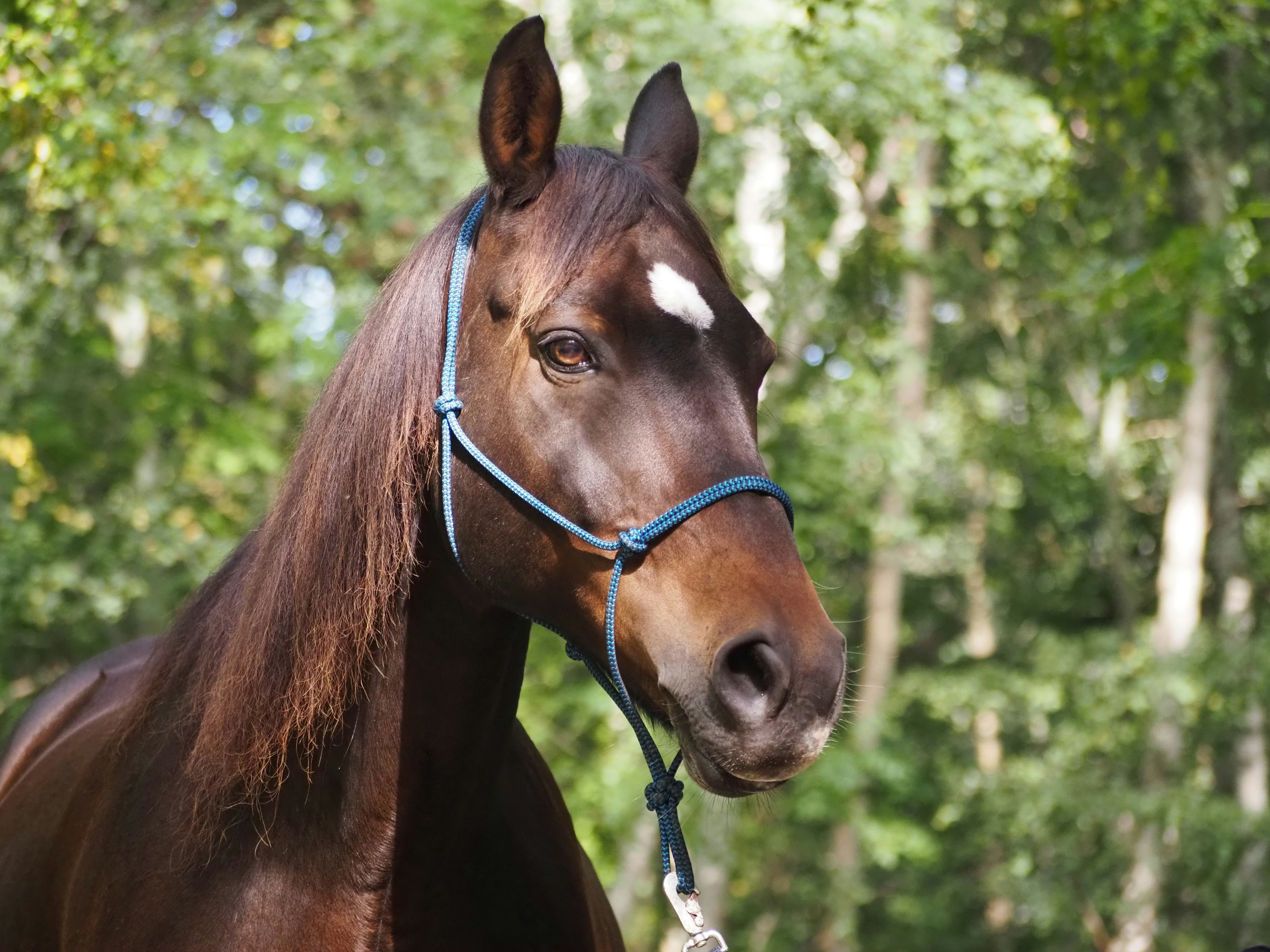 Photo by jackalope00