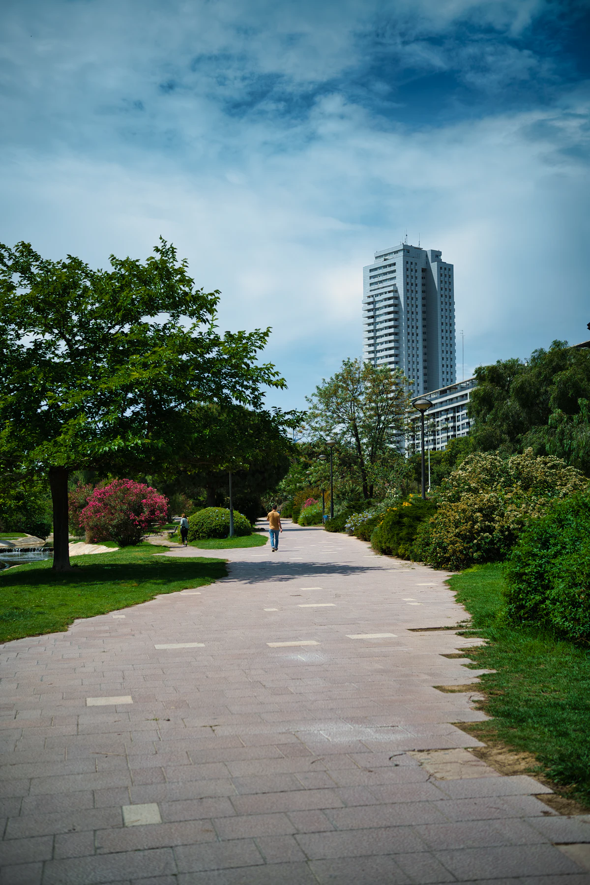 Paseo arbolado en un parque de Valencia