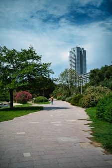 A person walking down a path in a park