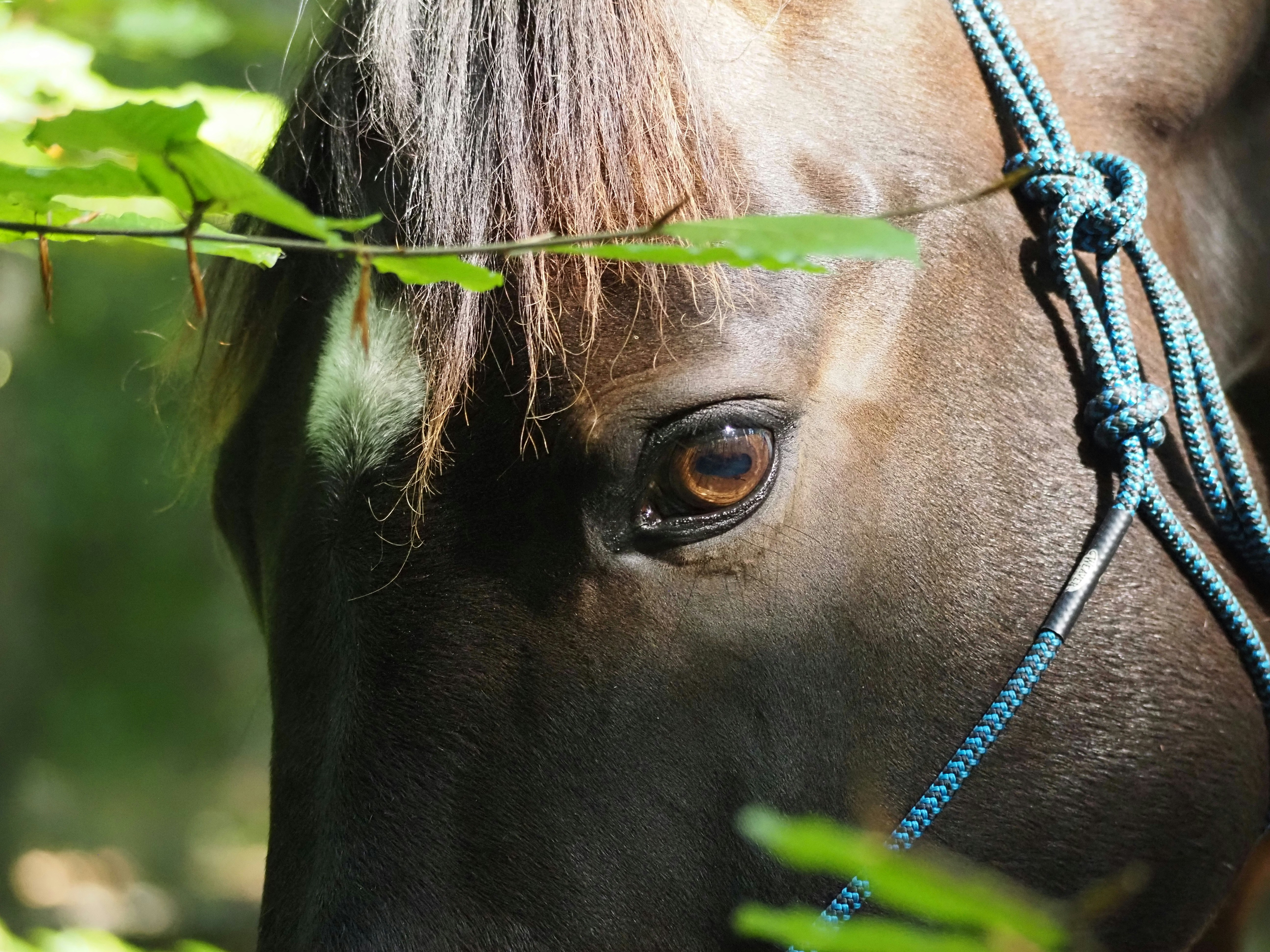 Photo by jackalope00