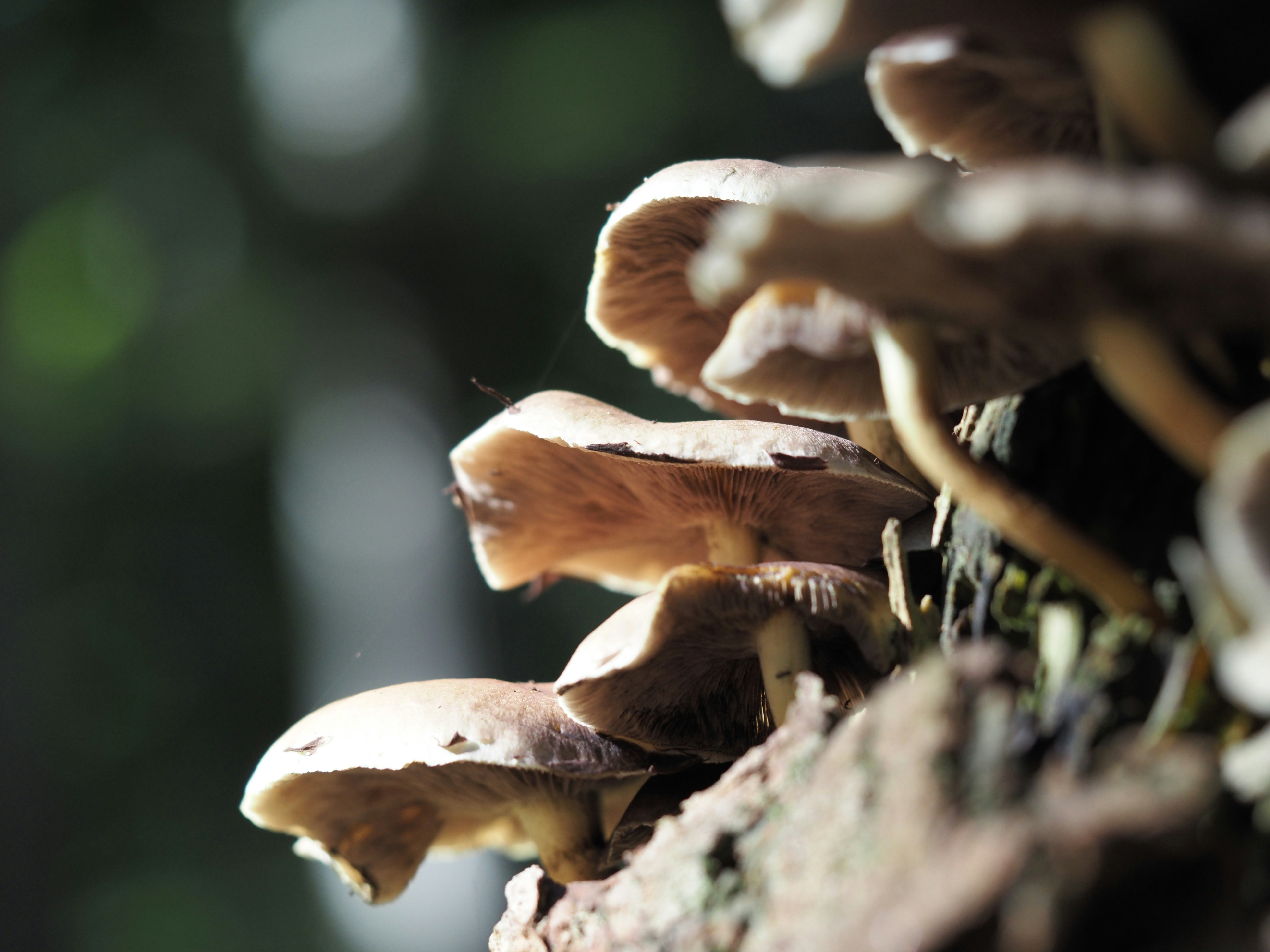 Photo by jackalope00