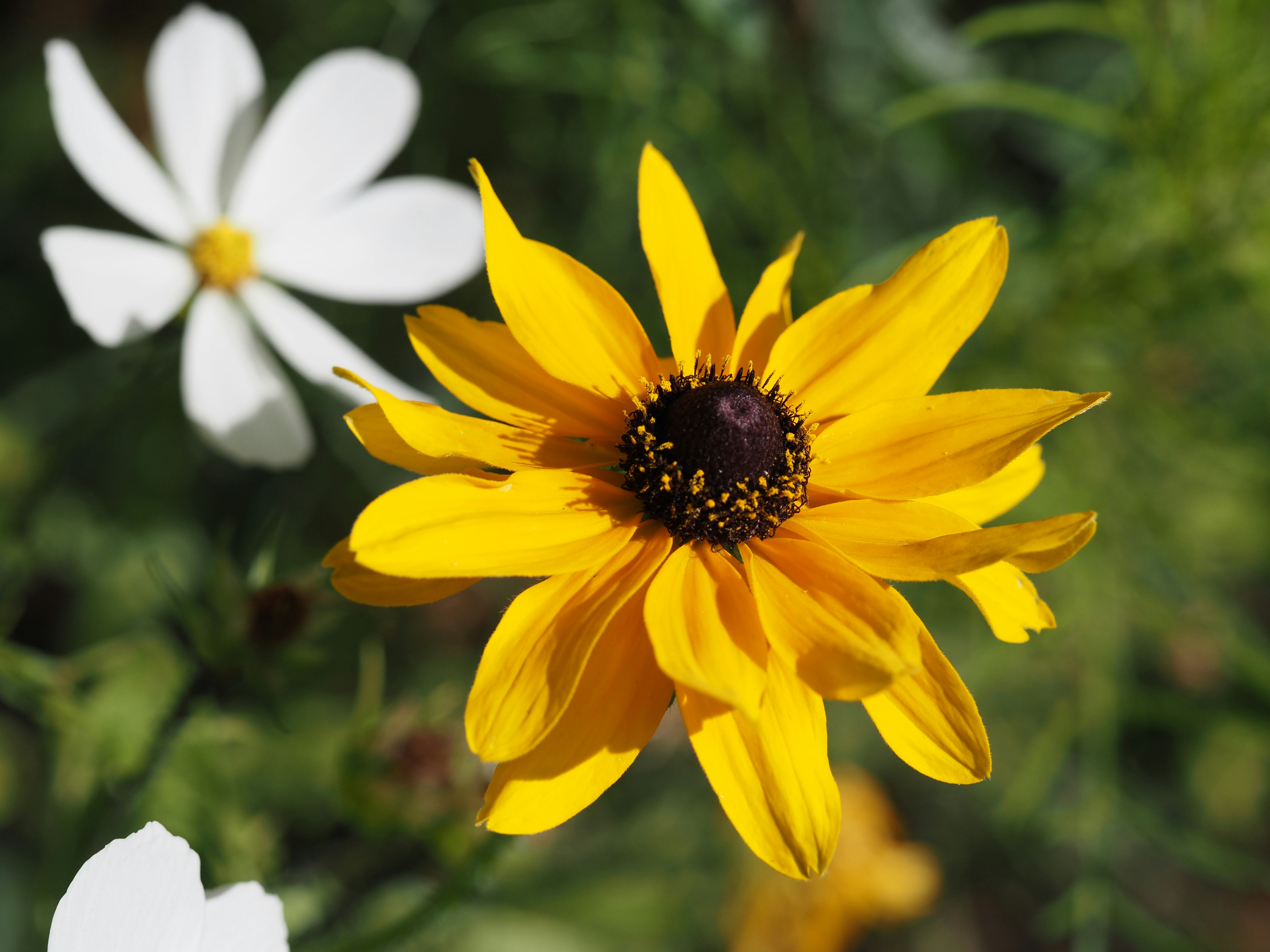 Photo by jackalope00