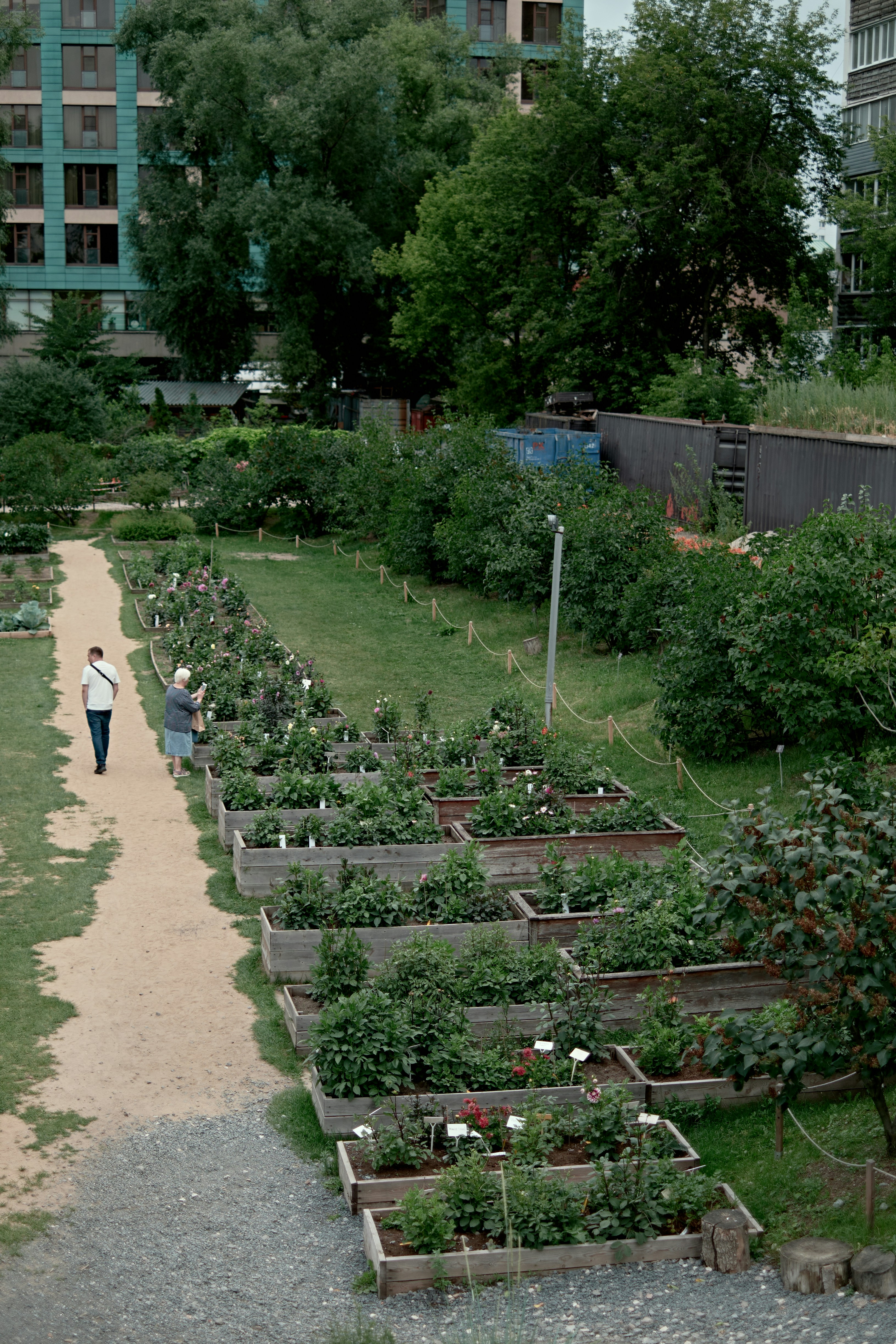A woman walking down a path through a garden