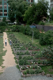 A woman walking down a path through a garden